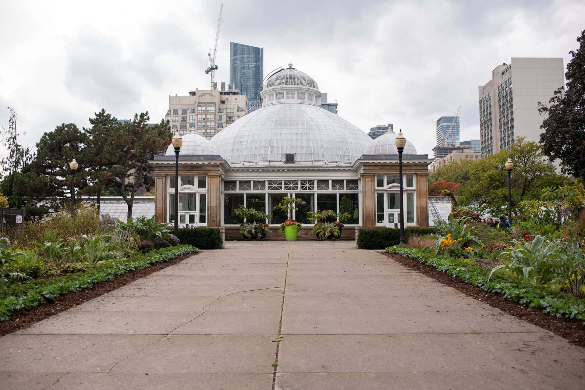 Allan Gardens Conservatory, glass-domed conservatory, cracked stone path, Full HD Desktop Wallpaper