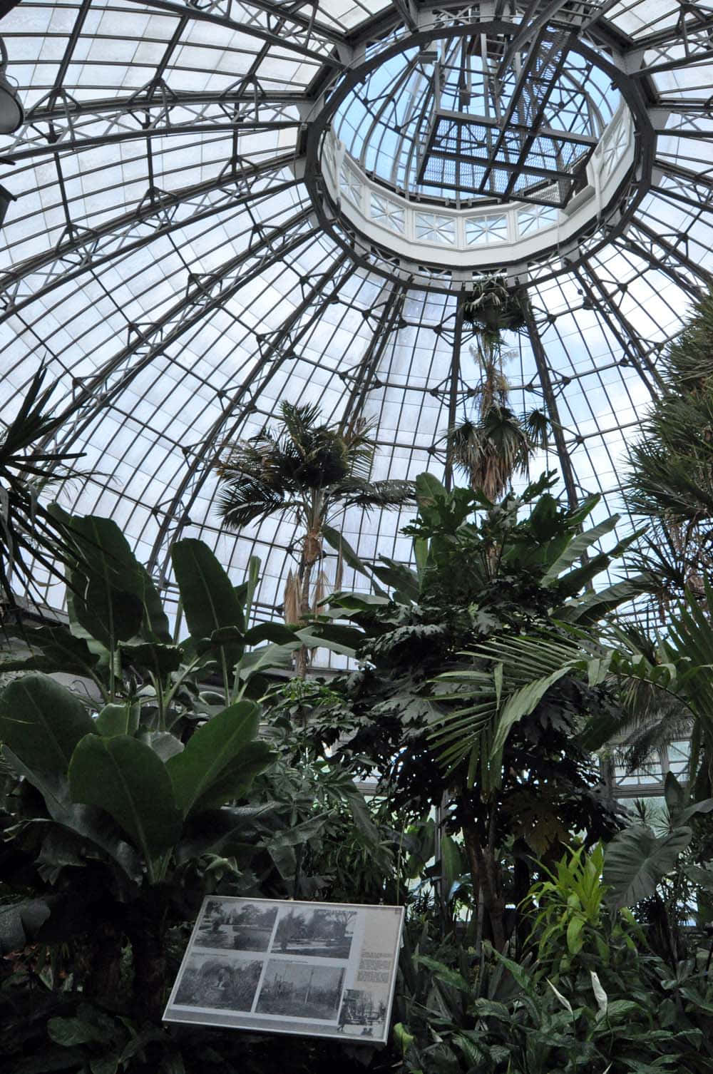 Allan Gardens Conservatory, dome interior, glass dome, HD Phone Wallpaper