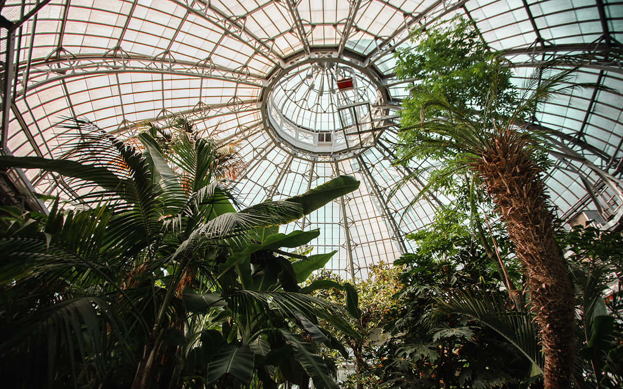 Allan Gardens Conservatory, glass dome, tropical plants, HD Desktop Wallpaper