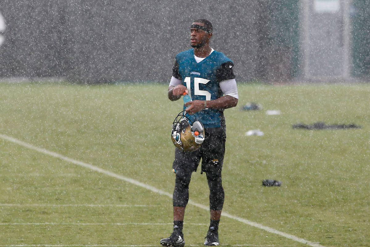 Allen Robinson, teal jersey, rain-slicked field, SD Desktop Wallpaper
