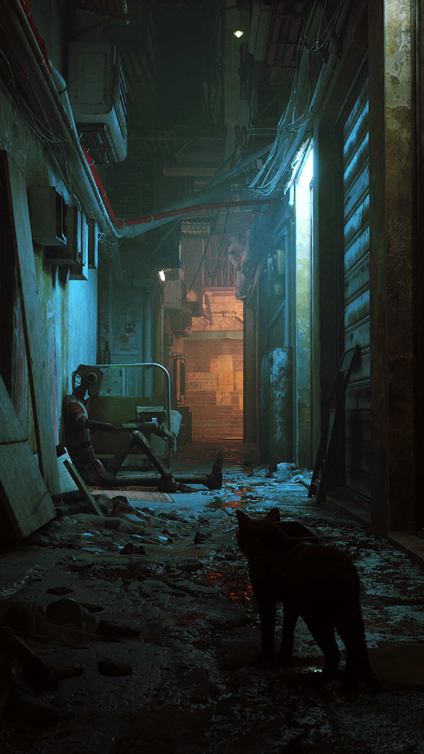 alleyway, cat, dim alleyway, 2K Phone Wallpaper