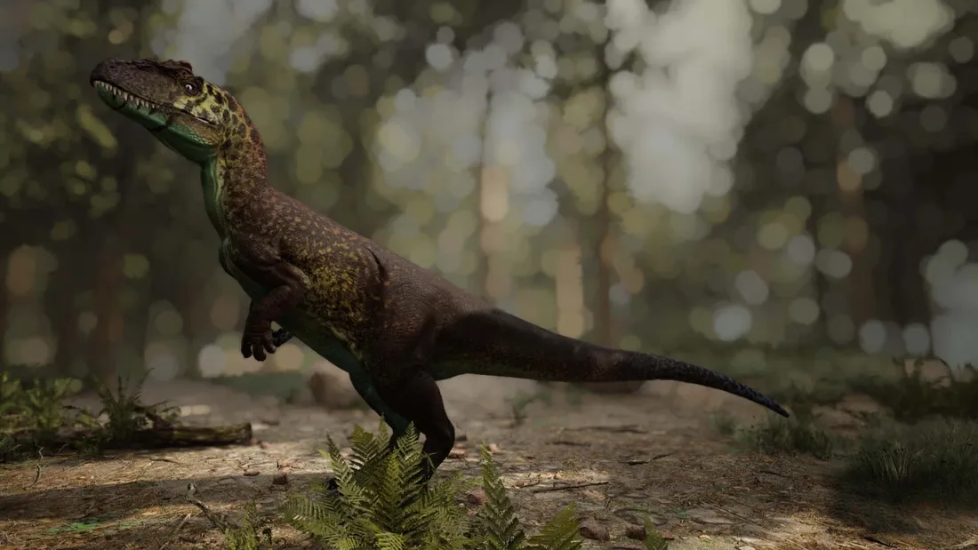 Allosaurus Wallpapers