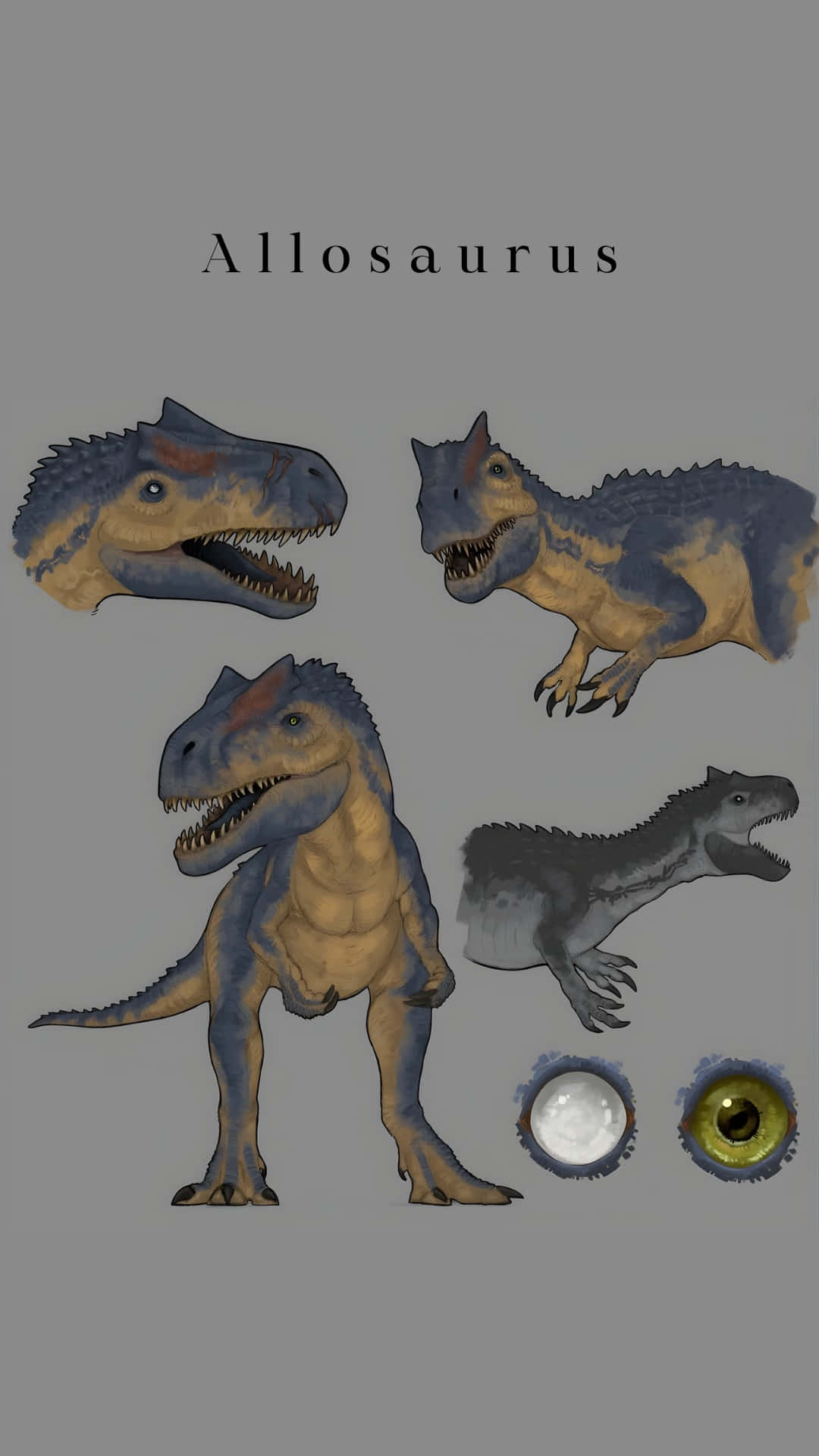 Allosaurus, dinosaur, illustrations, Full HD Phone Wallpaper