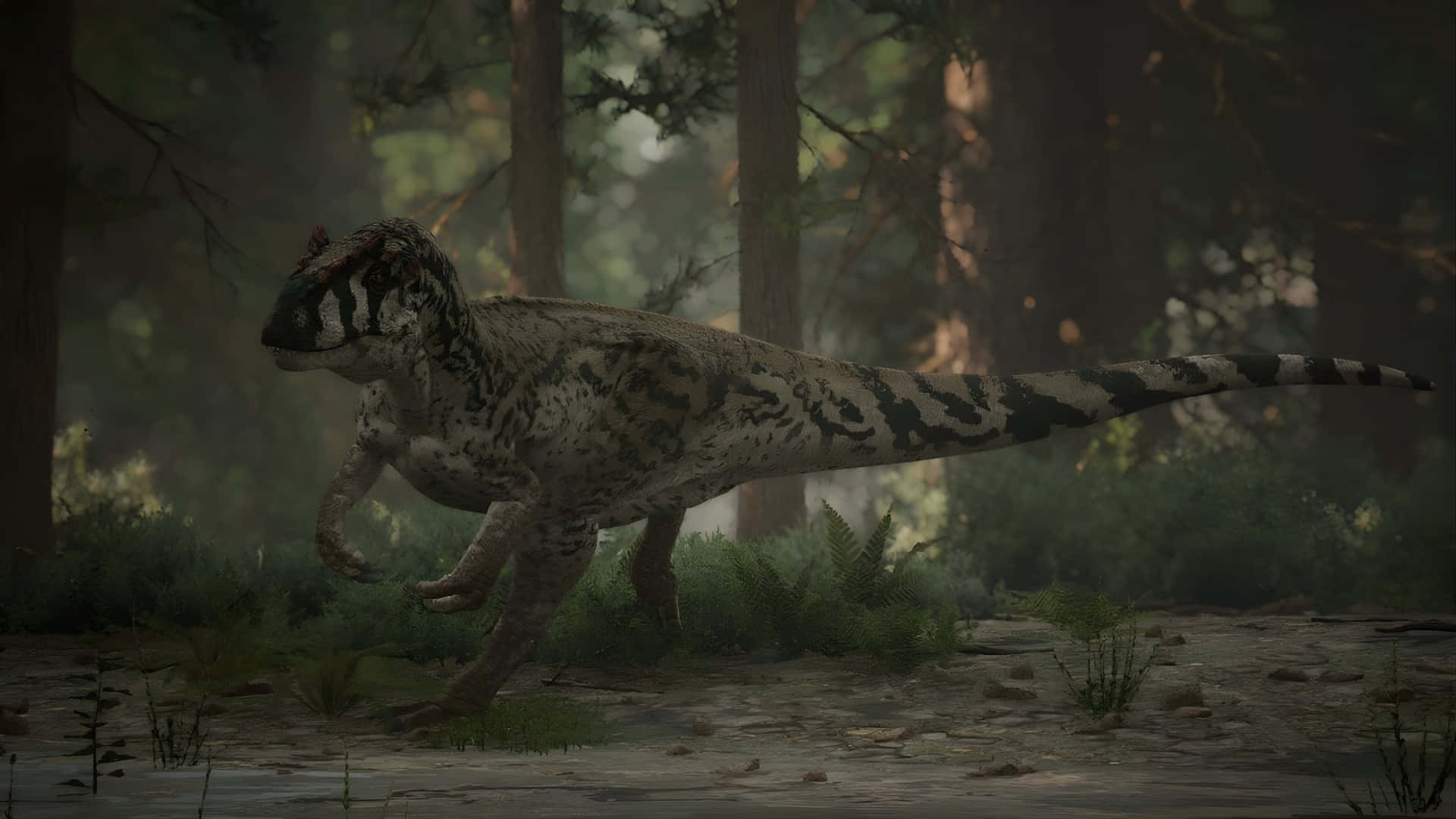 Allosaurus, dense forest, misty forest, Full HD Desktop Wallpaper