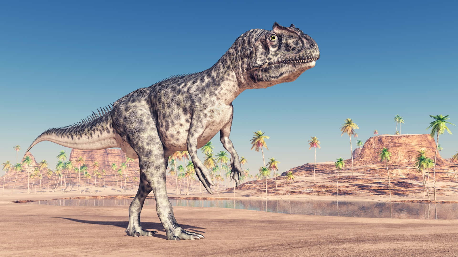 Allosaurus, desert landscape, palm trees, Full HD Desktop Wallpaper