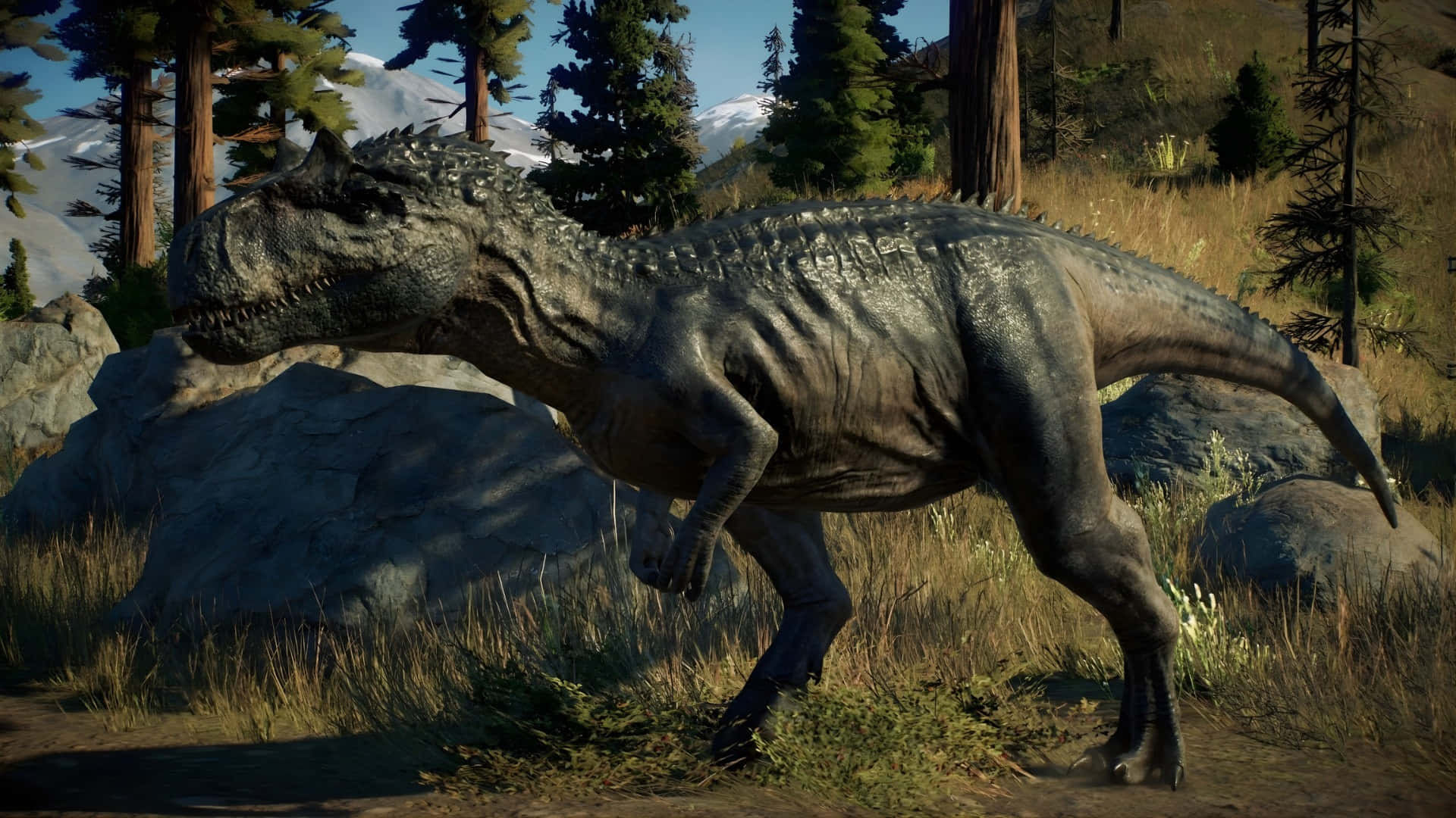 Allosaurus, sunlit forest clearing, tall trees, Full HD Desktop Wallpaper
