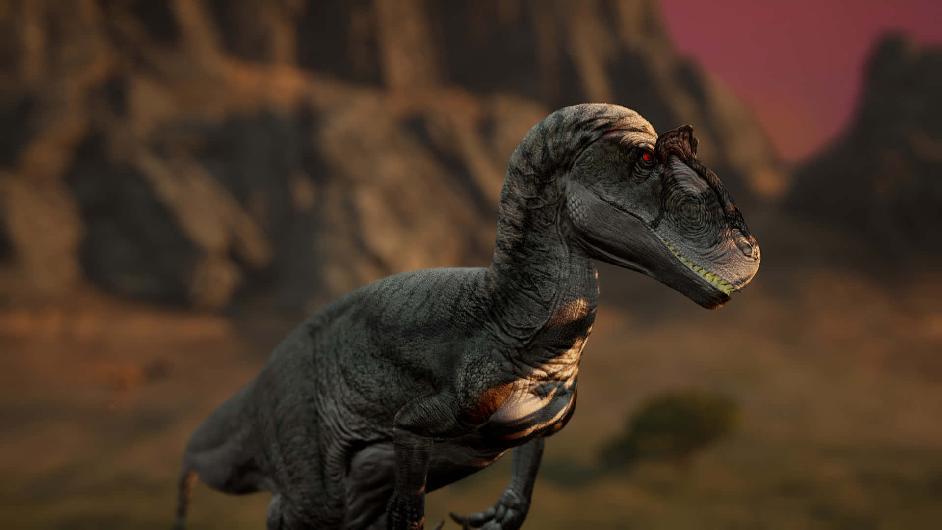 Allosaurus, gray dinosaur, red eyes, Full HD Desktop Wallpaper