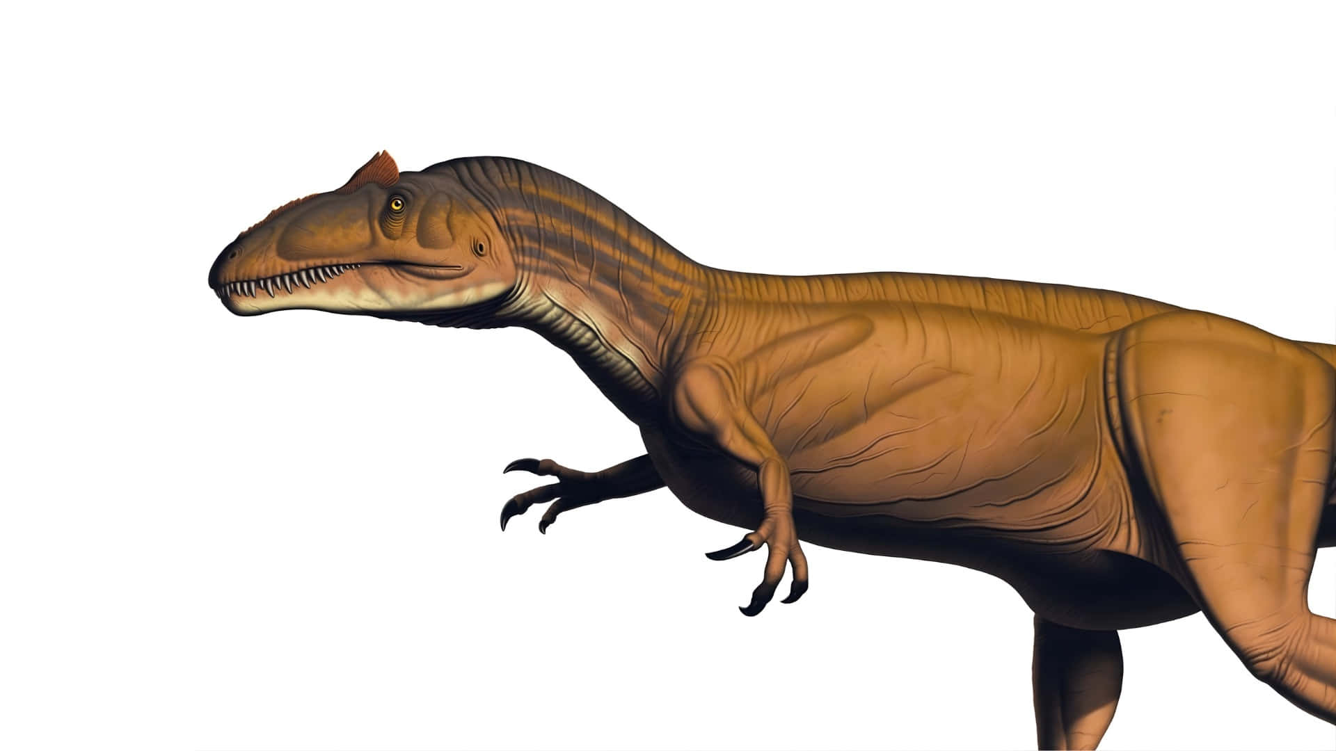 Allosaurus, brown striped theropod dinosaur, sharp teeth, Full HD Desktop Wallpaper