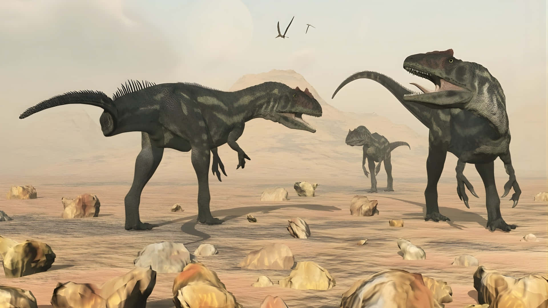 Allosaurus, rocky arid landscape, flying reptiles, Full HD Desktop Wallpaper