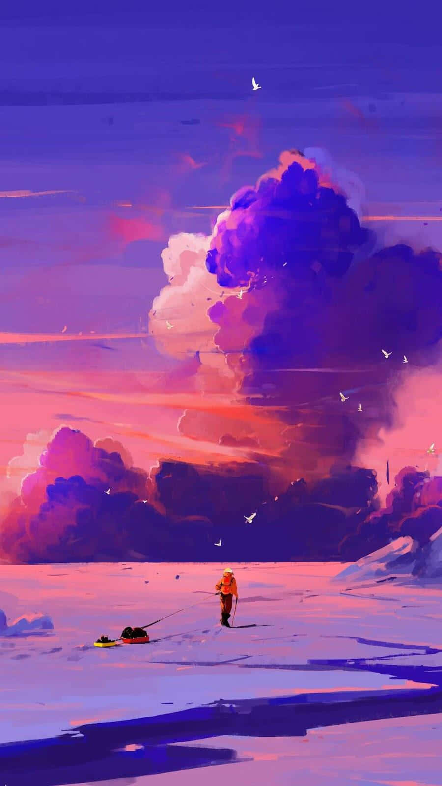 Alluring, 900 x 1600, sunset, HD Phone Wallpaper