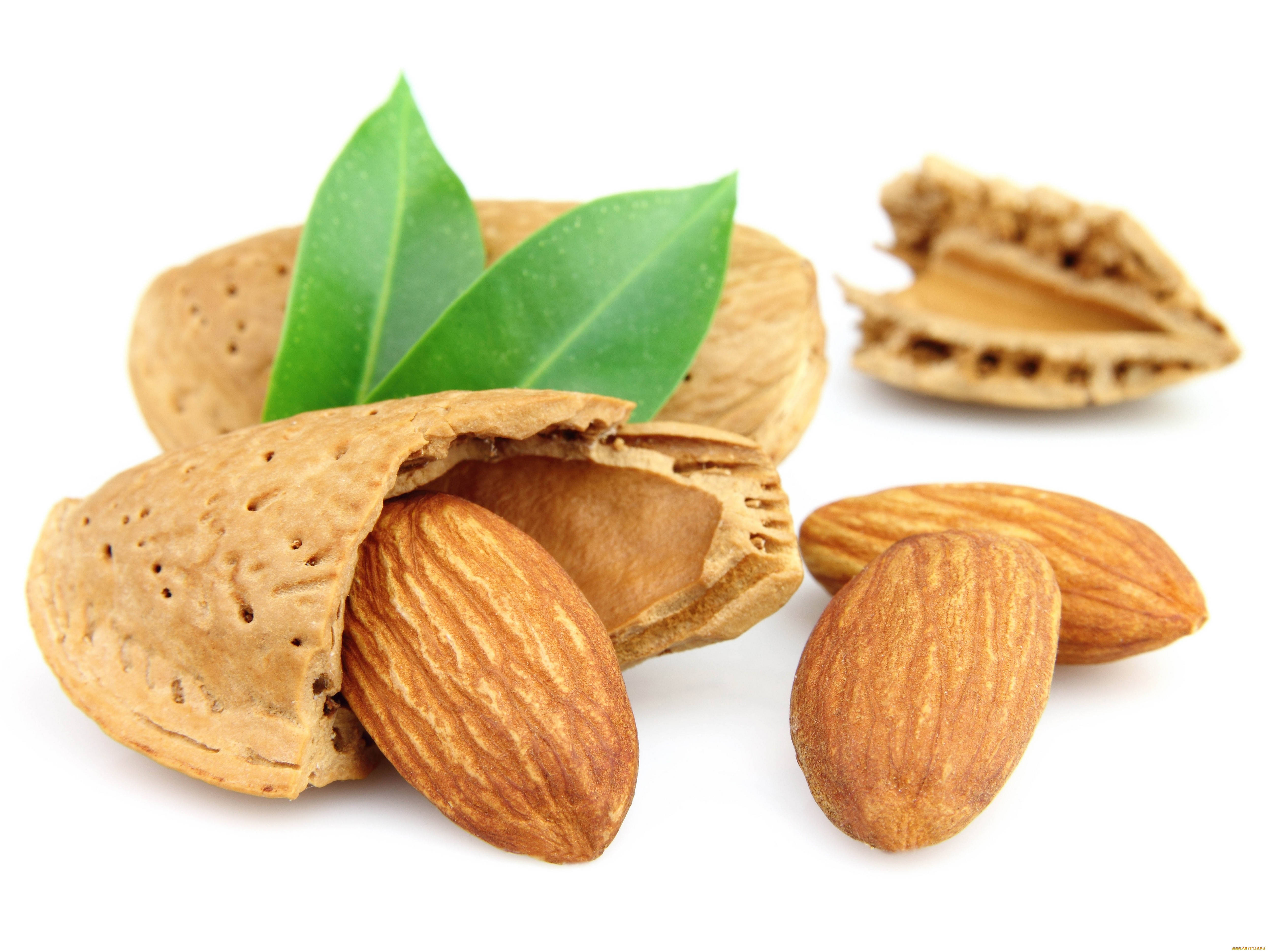 raw almond shells, green leaves, cracked shells, 4K Desktop Wallpaper
