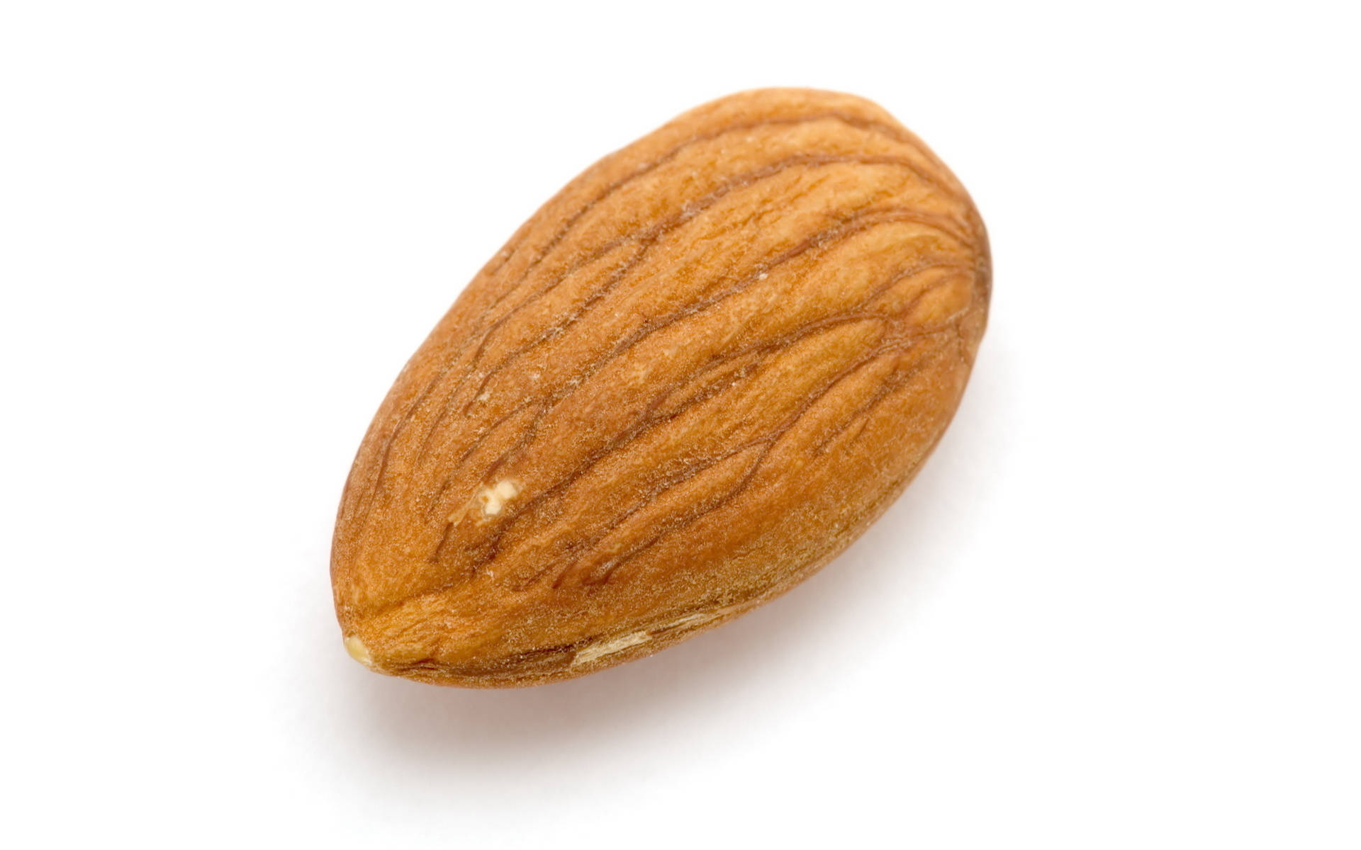 simple almond nut, almond, textured brown shell, Full HD Desktop Wallpaper