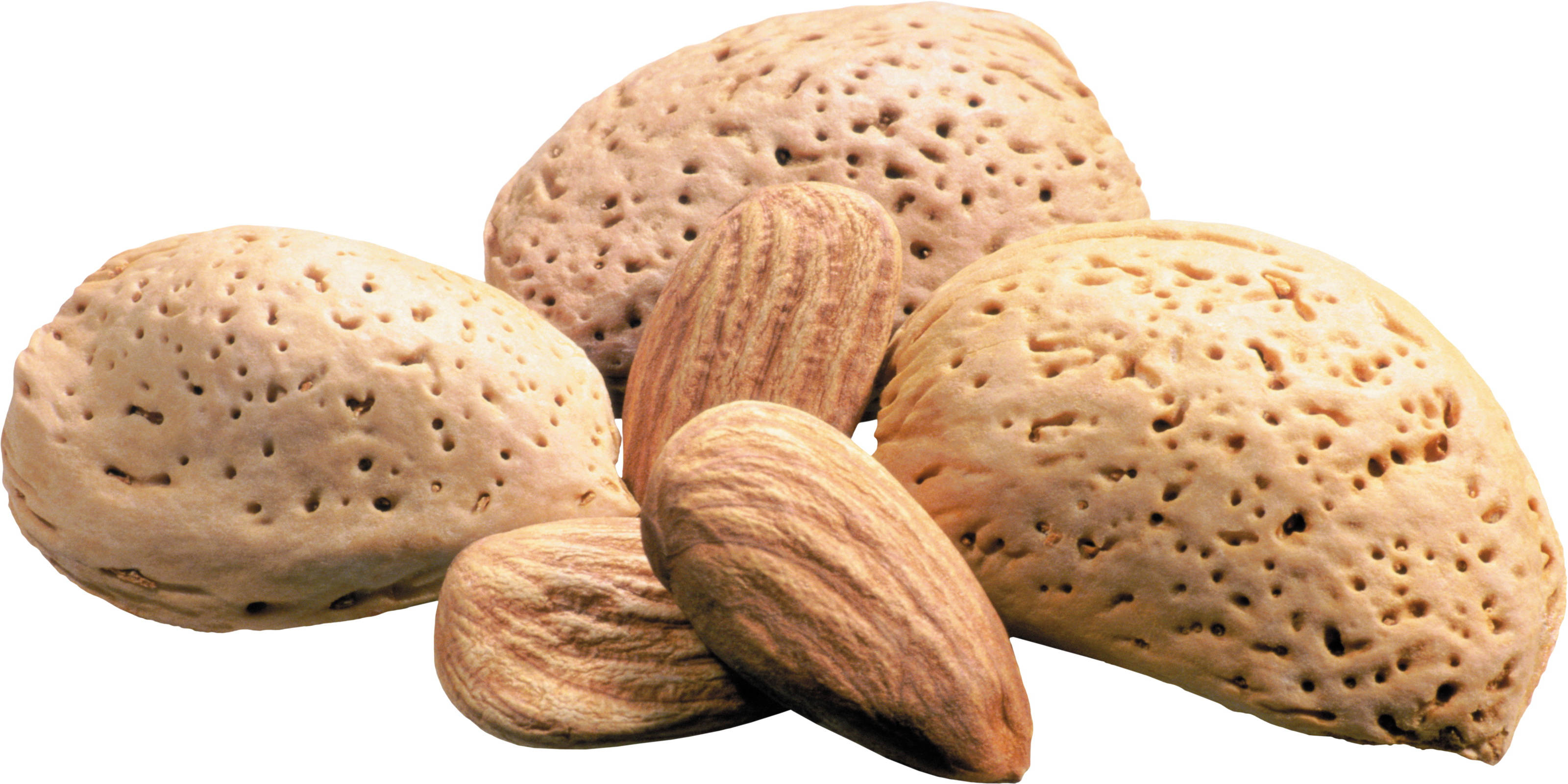 organic almond shells, whole almonds, textured almond shells, 2K Desktop Wallpaper