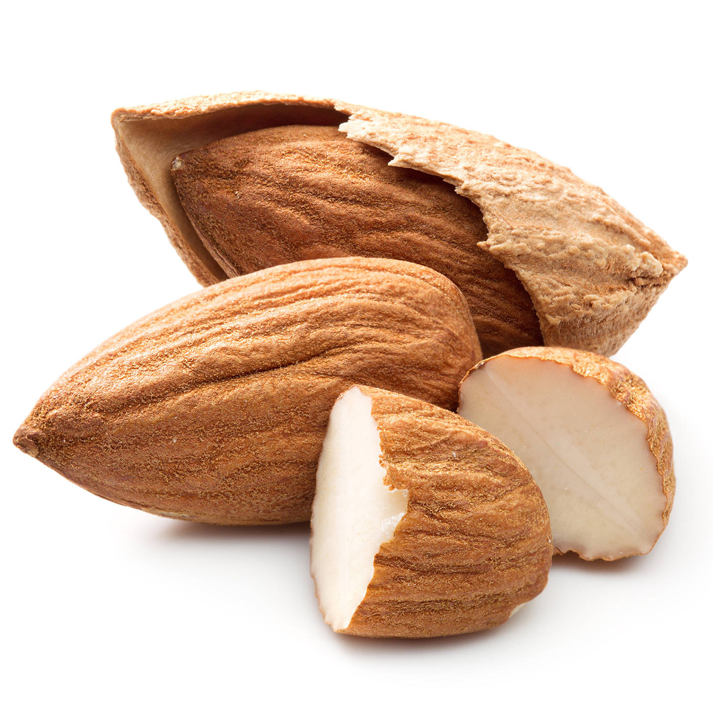 cracked almond shell, creamy white interiors, stark white background, HD Desktop Wallpaper