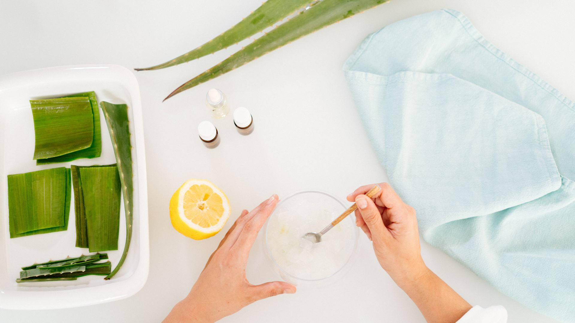 aloe vera, lemon, clear bowl, Full HD Desktop Wallpaper