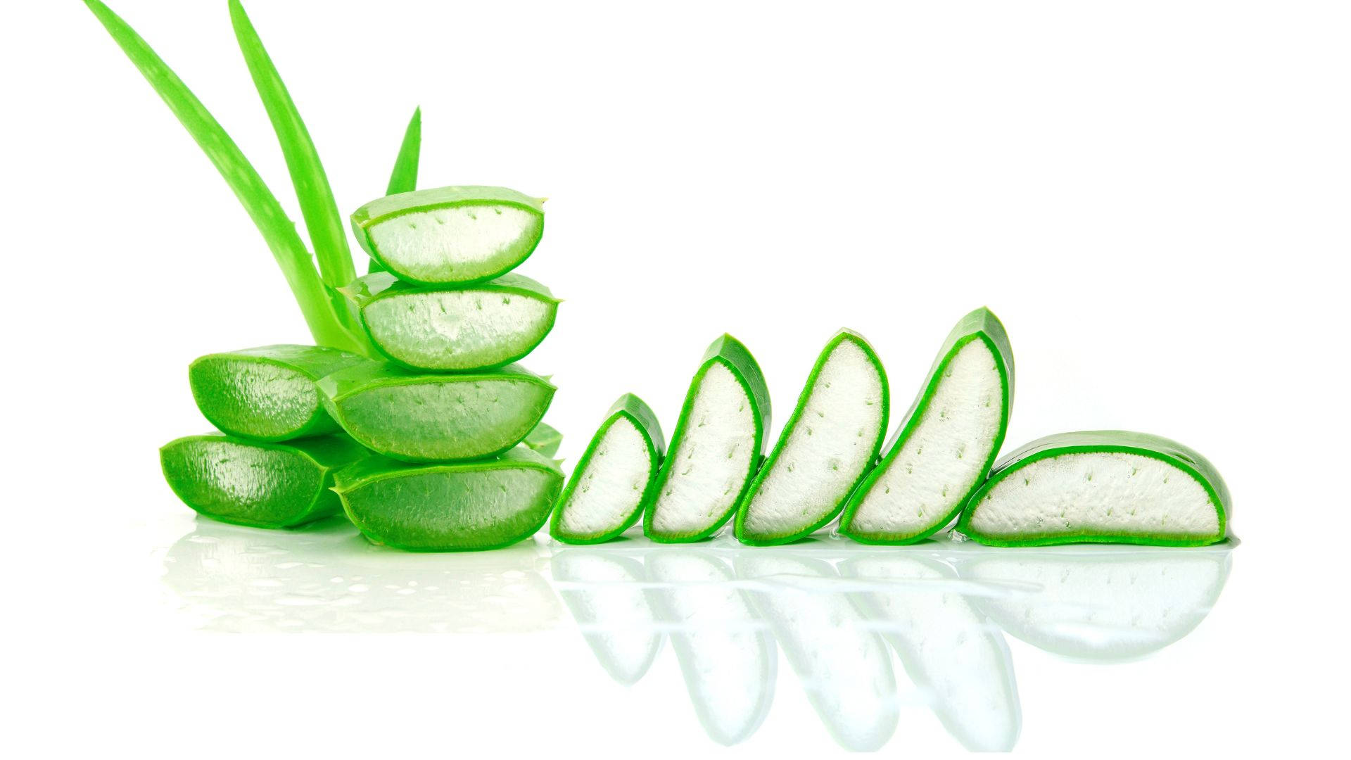 fresh aloe vera slices, gelatinous interiors, bright white reflective surface, Full HD Desktop Wallpaper