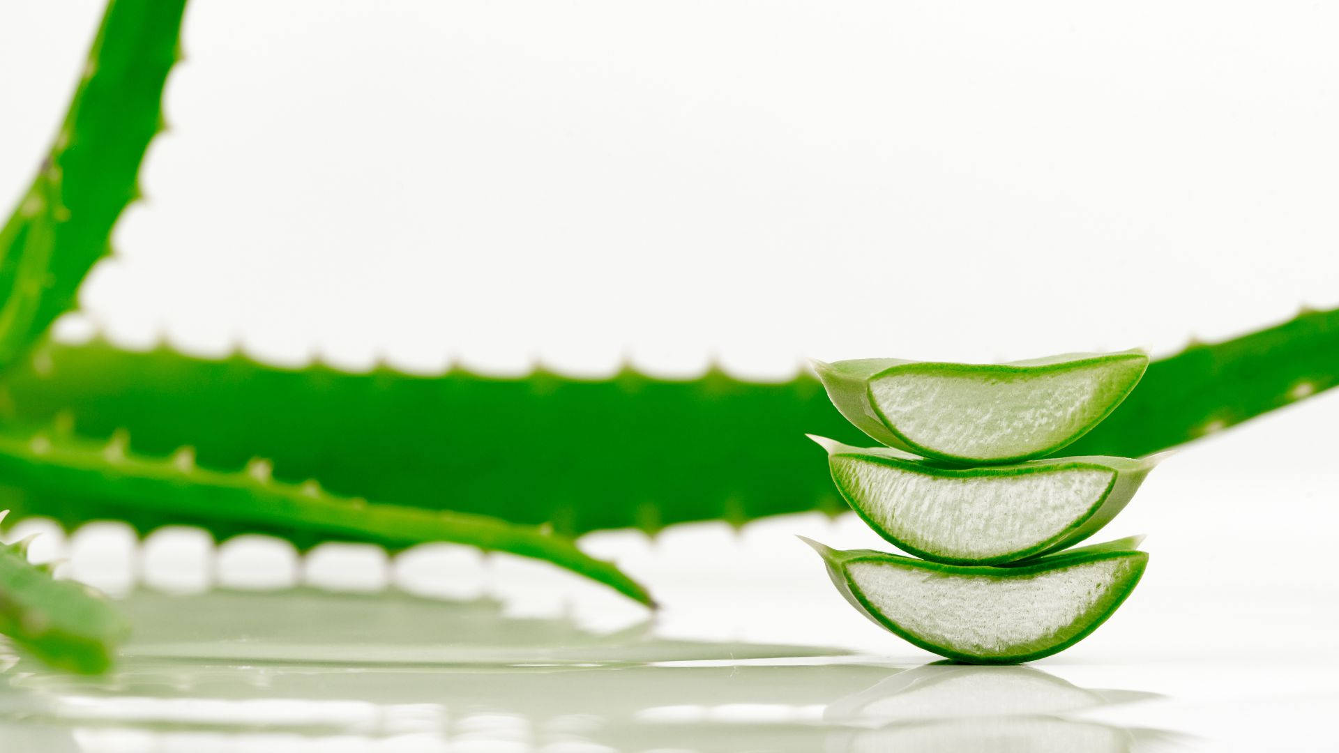 fresh aloe vera, translucent gel slices, reflective white surface, Full HD Desktop Wallpaper