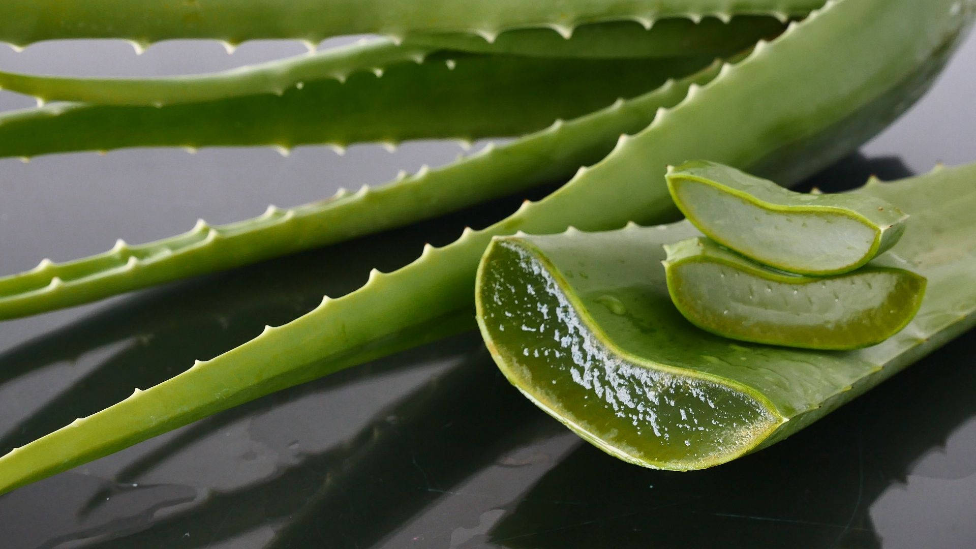 Aloe Vera, gel-filled slices, dark reflective surface, Full HD Desktop Wallpaper