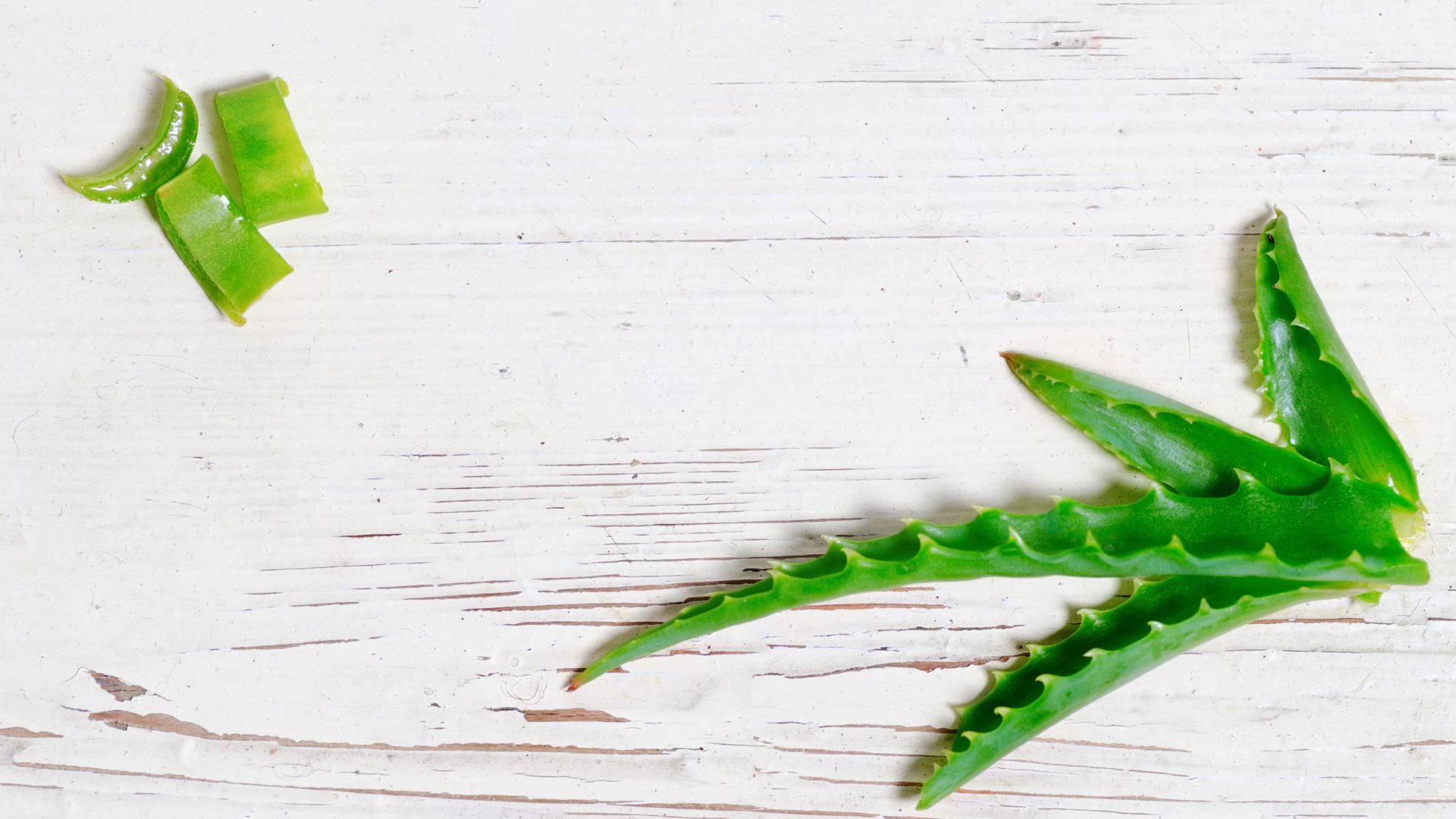 Aloe Vera, leaf slices, weathered white wooden surface, Full HD Desktop Wallpaper