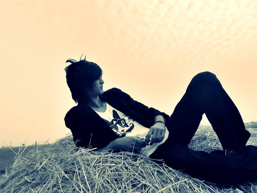 Alone Boy, hay bale, golden sky, SD Desktop Wallpaper
