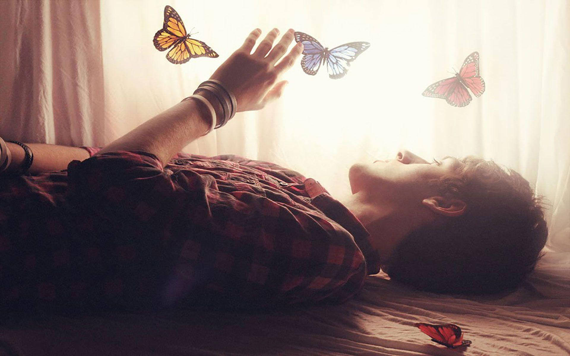 Alone Boy, bed, butterflies, Full HD Desktop Wallpaper