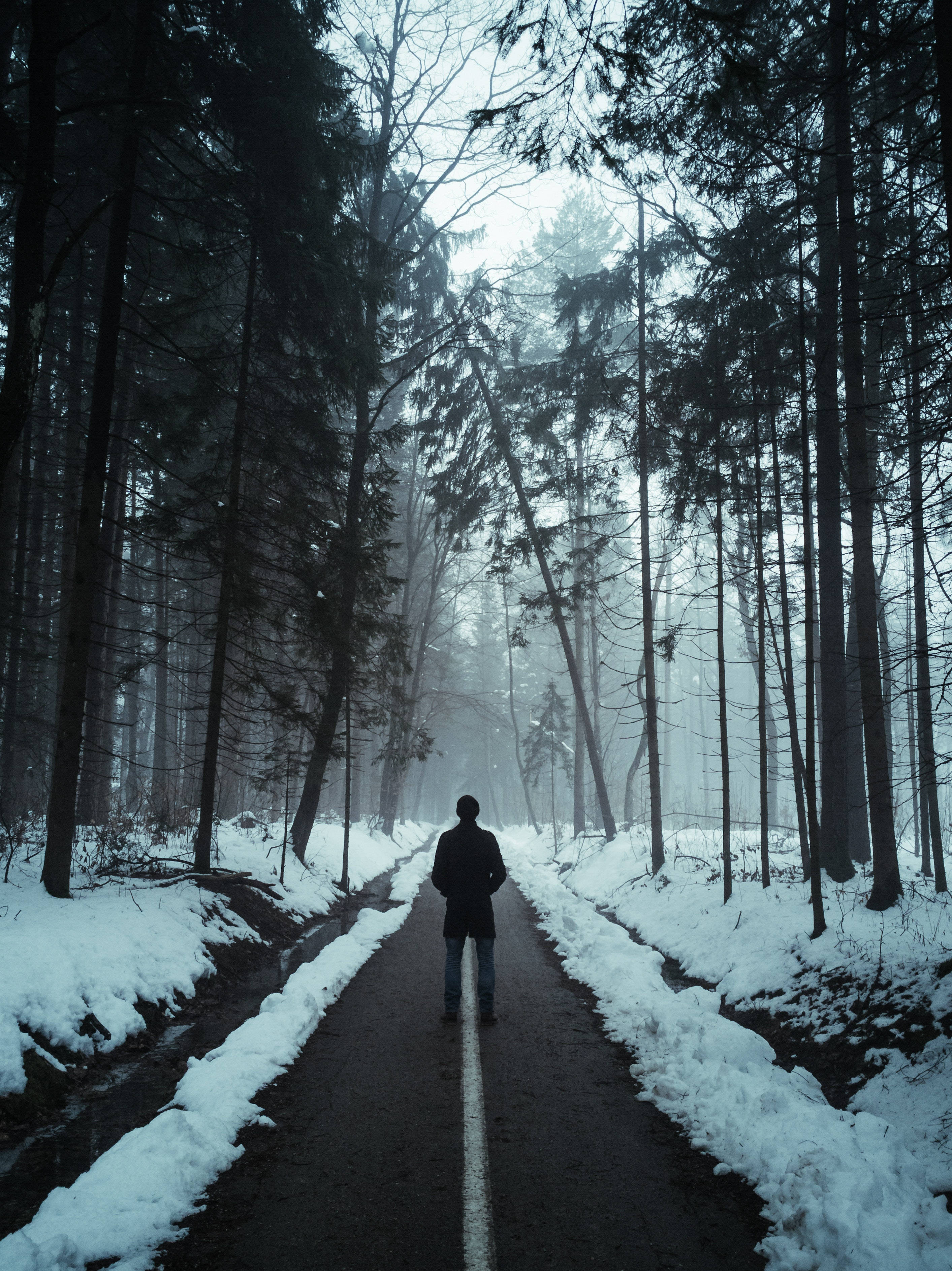 Love Alone Snowy Pave, snow-lined forest road, misty winter sky, 2K Phone Wallpaper