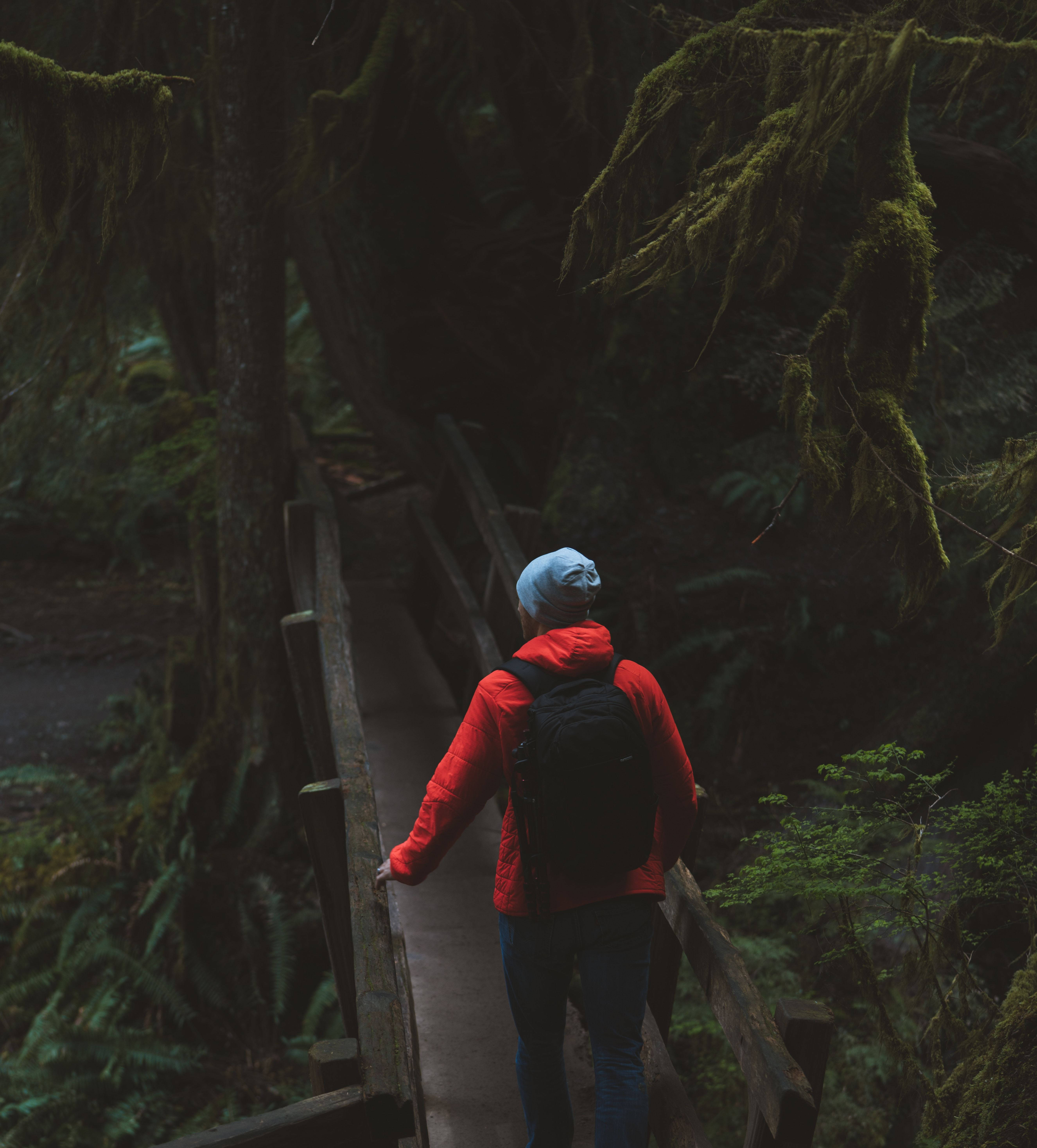 man, red jacket, wooden trail, 5K Phone Wallpaper