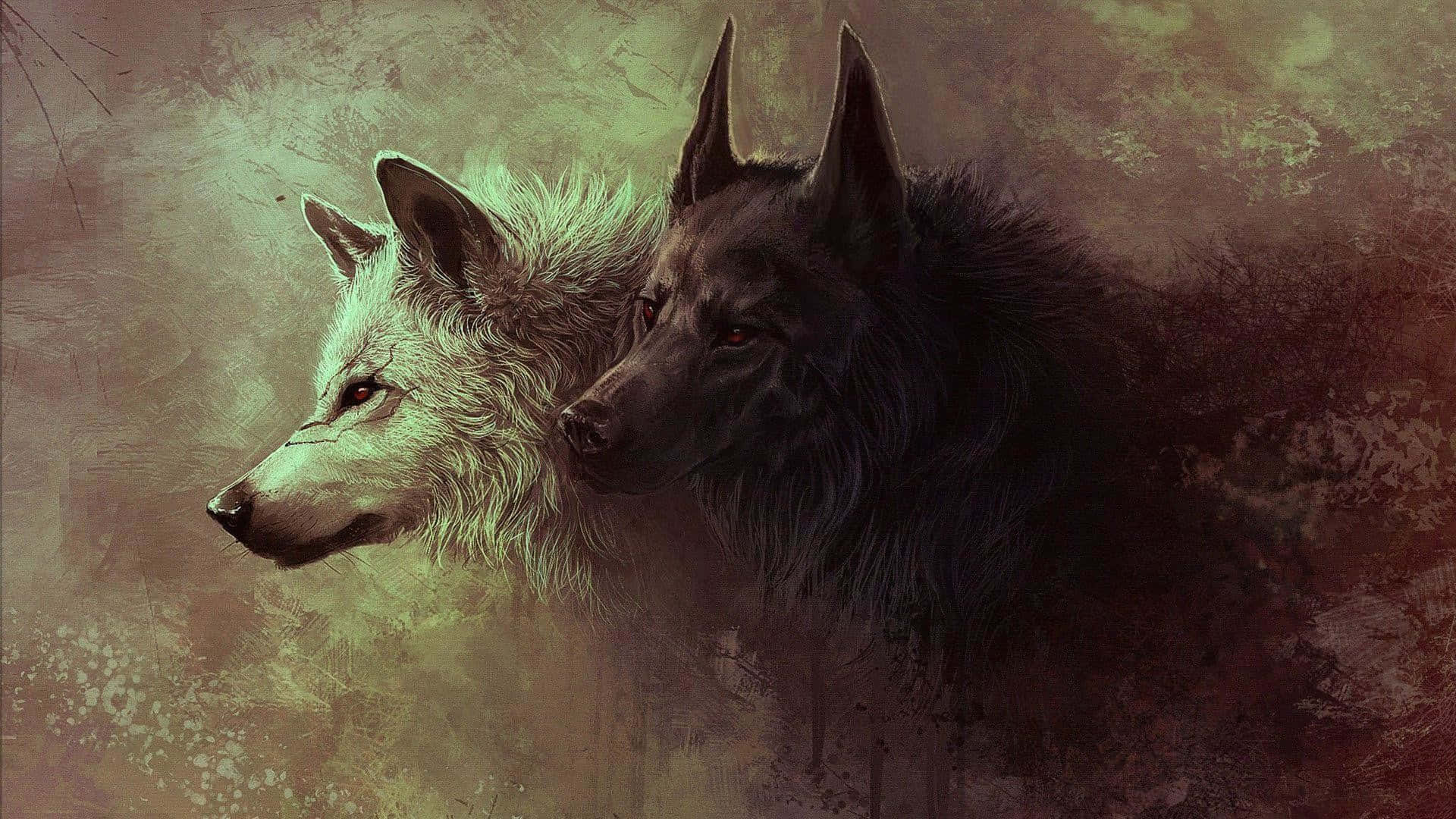 Alpha Wolf, white wolf, black wolf, Full HD Desktop Wallpaper