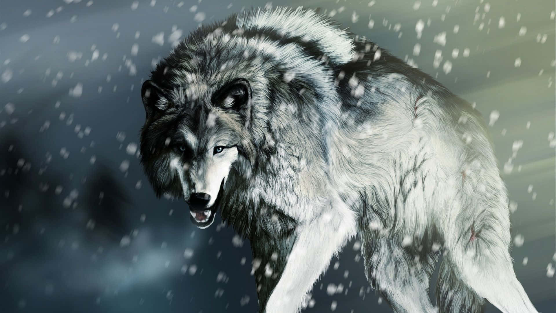 Alpha Wolf, gray wolf, snowflakes, Full HD Desktop Wallpaper