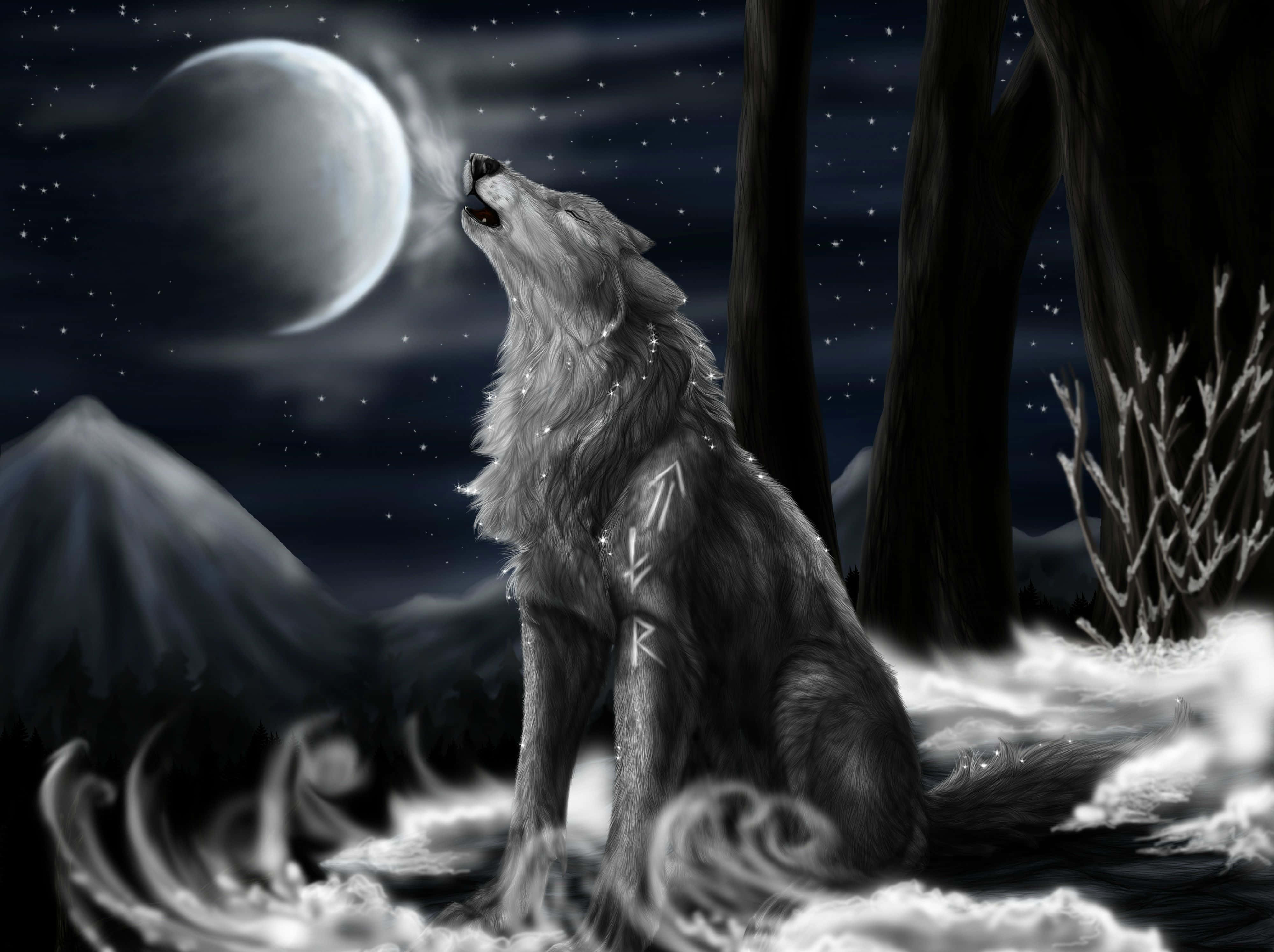 Alpha Wolf, crescent moon, starry night sky, 4K Desktop Wallpaper
