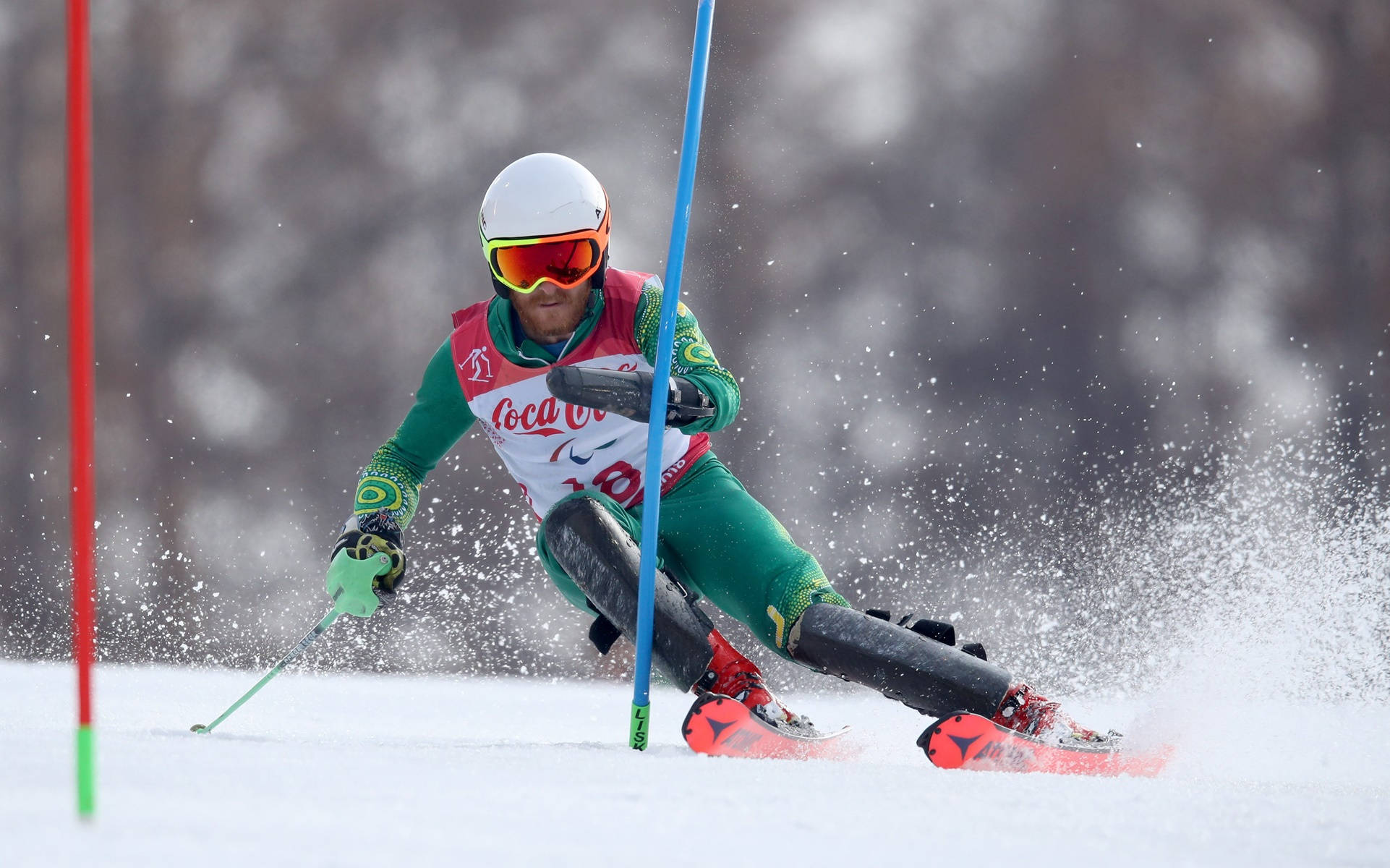 Alpine Skiing, green suit, red gates, Full HD Desktop Wallpaper