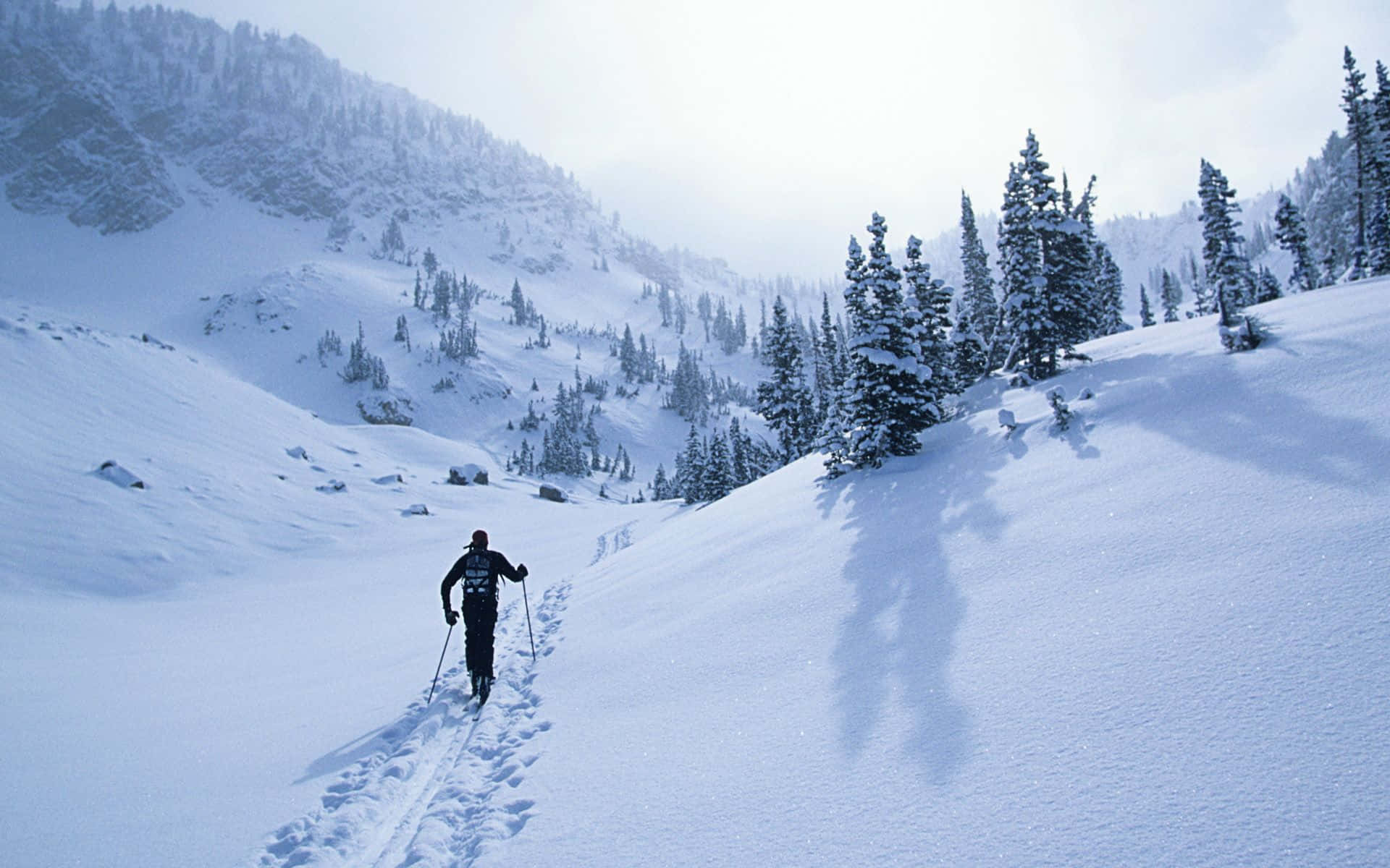 lone skier, sunlit mountain slope, deep snow, Full HD Desktop Wallpaper