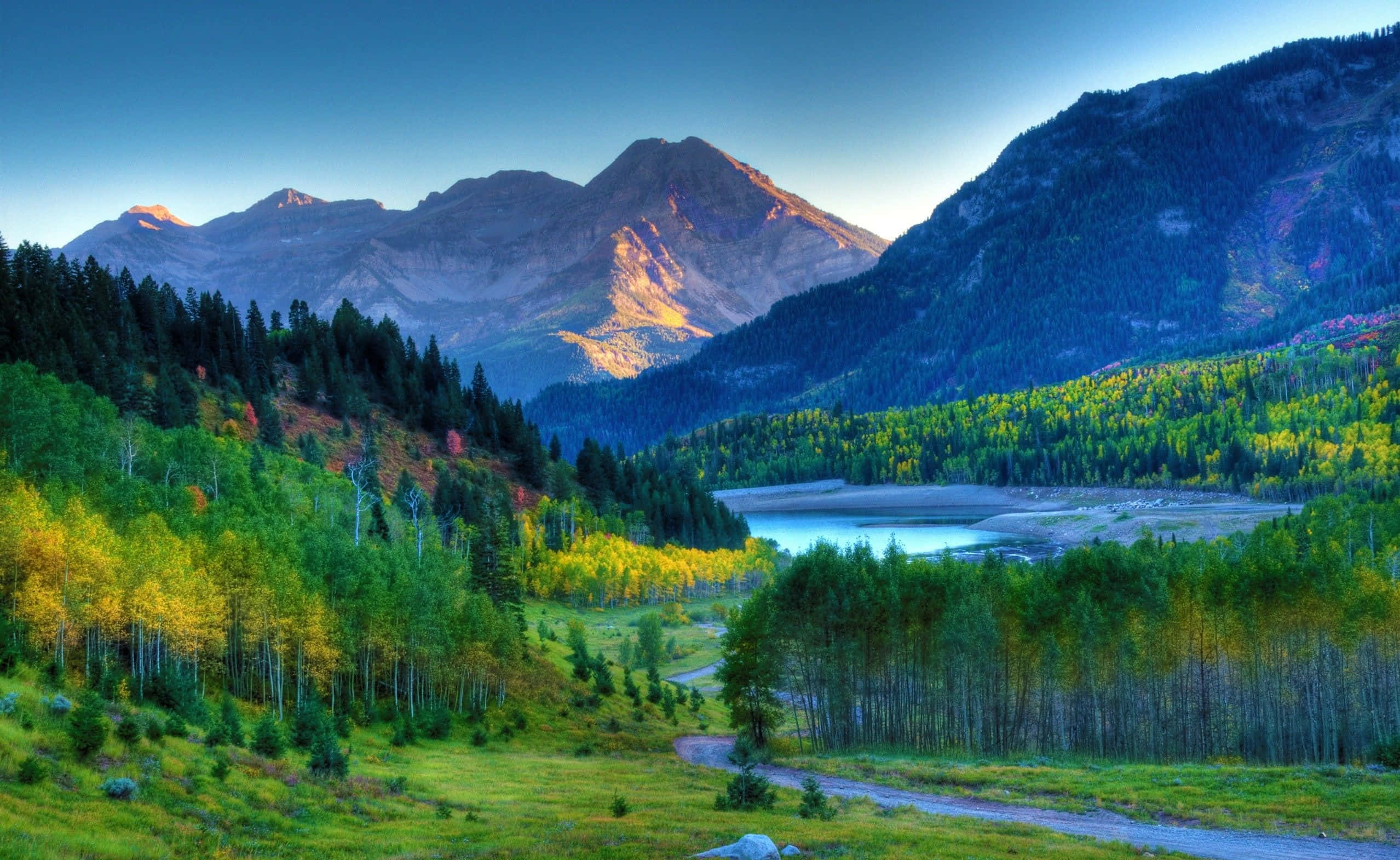 The Alps, winding road, vibrant valley, Full HD Desktop Wallpaper