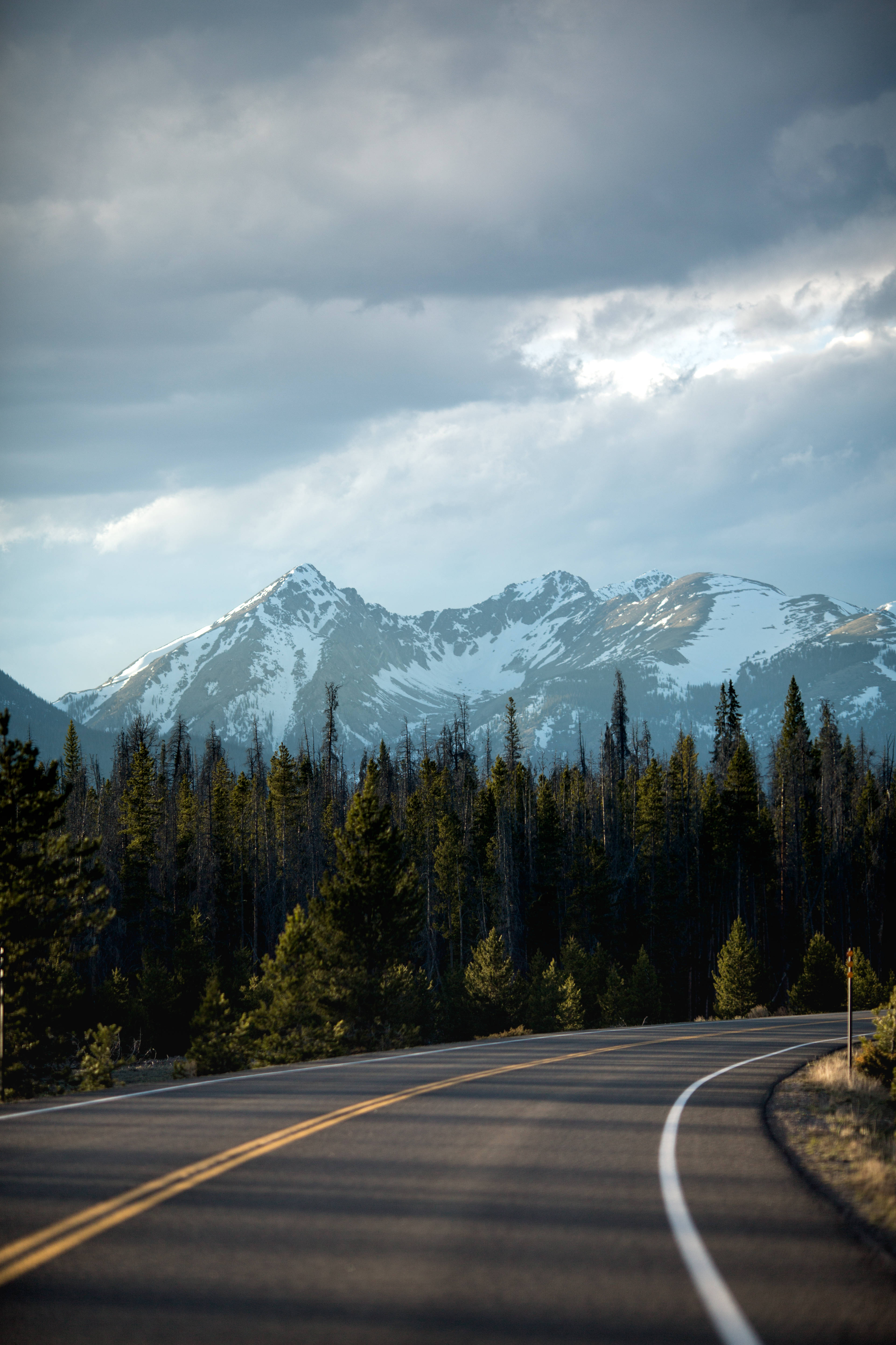 Alps, winding asphalt road, dense pine forest, 5K Phone Wallpaper