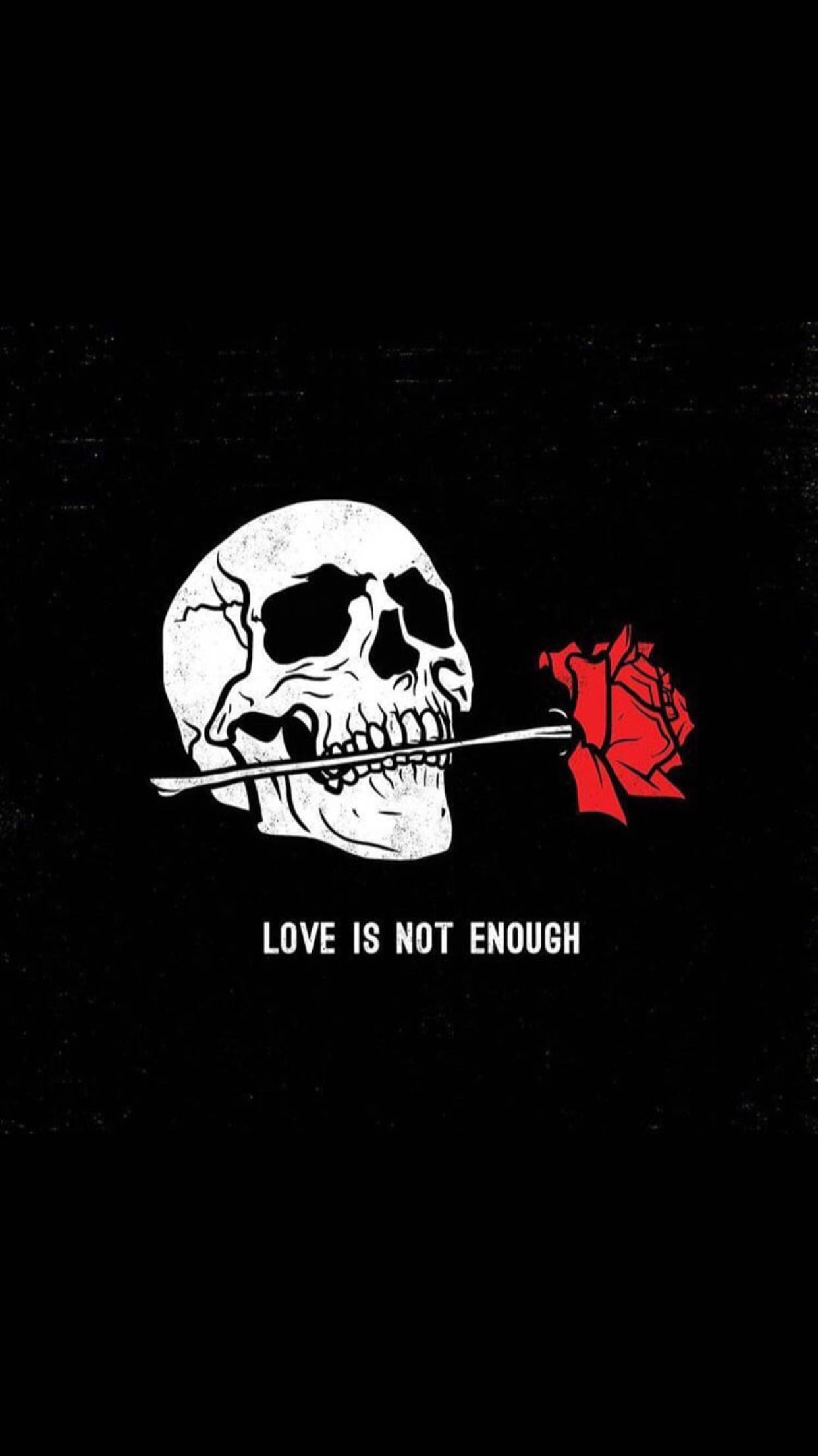 alt aesthetic, skull, red rose, Full HD Phone Wallpaper