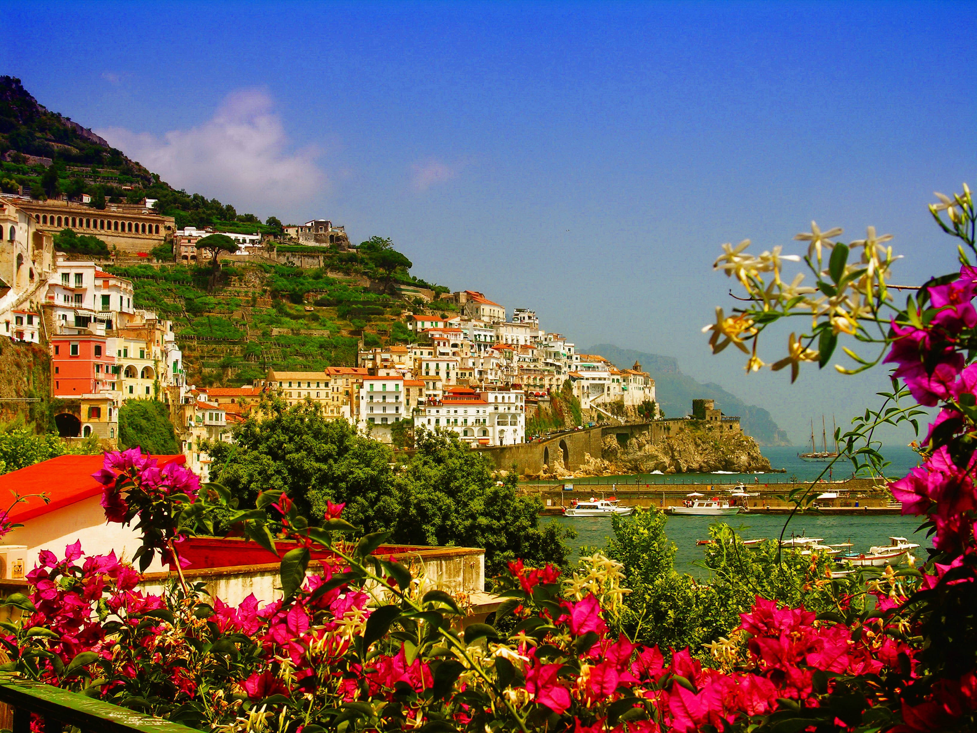 Amalfi Coast, vibrant pink flowers, sunlit coastal town, 2K Desktop Wallpaper