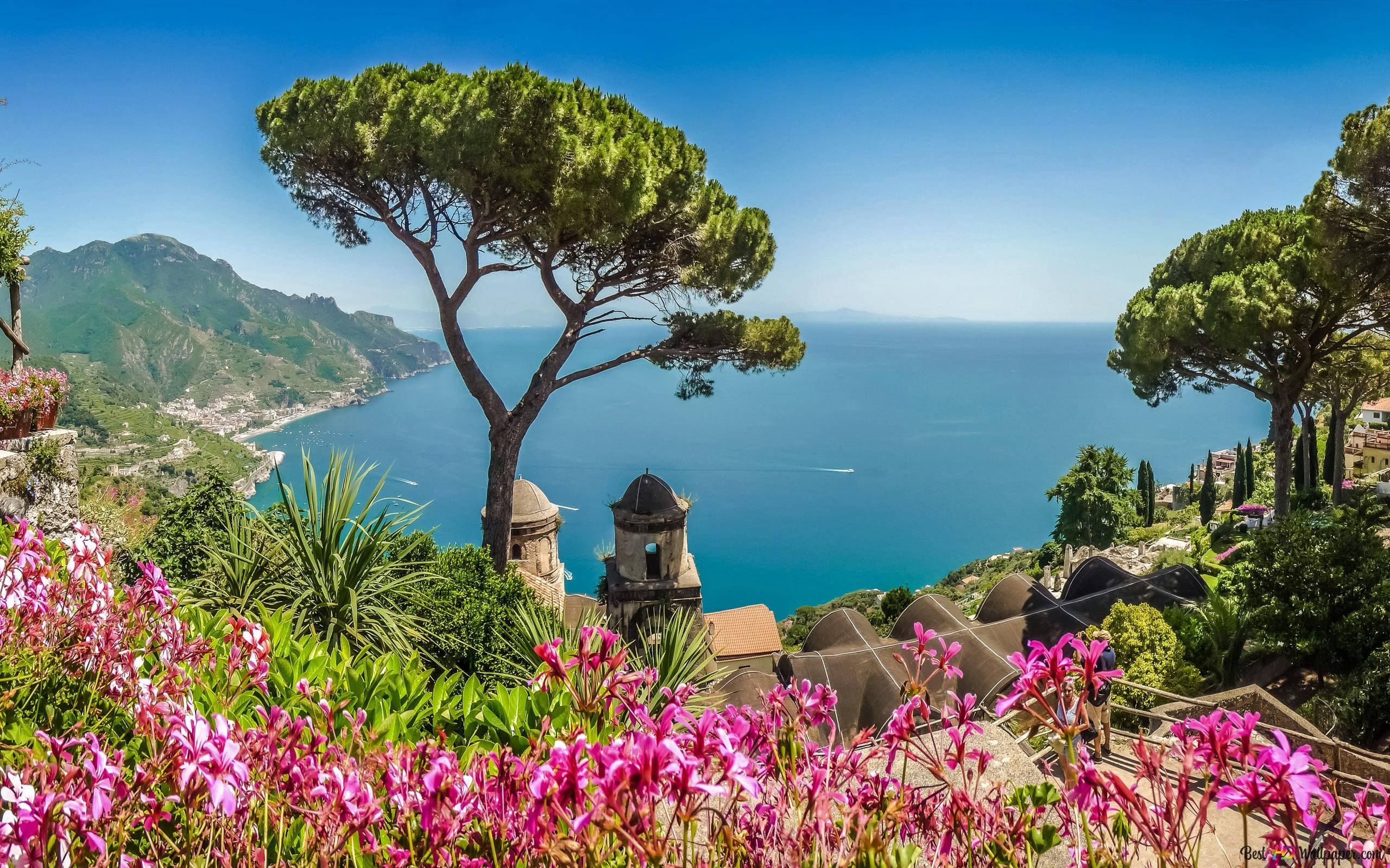 Amalfi Coast, pink botanical garden, vibrant pink flowers, 2K Desktop Wallpaper