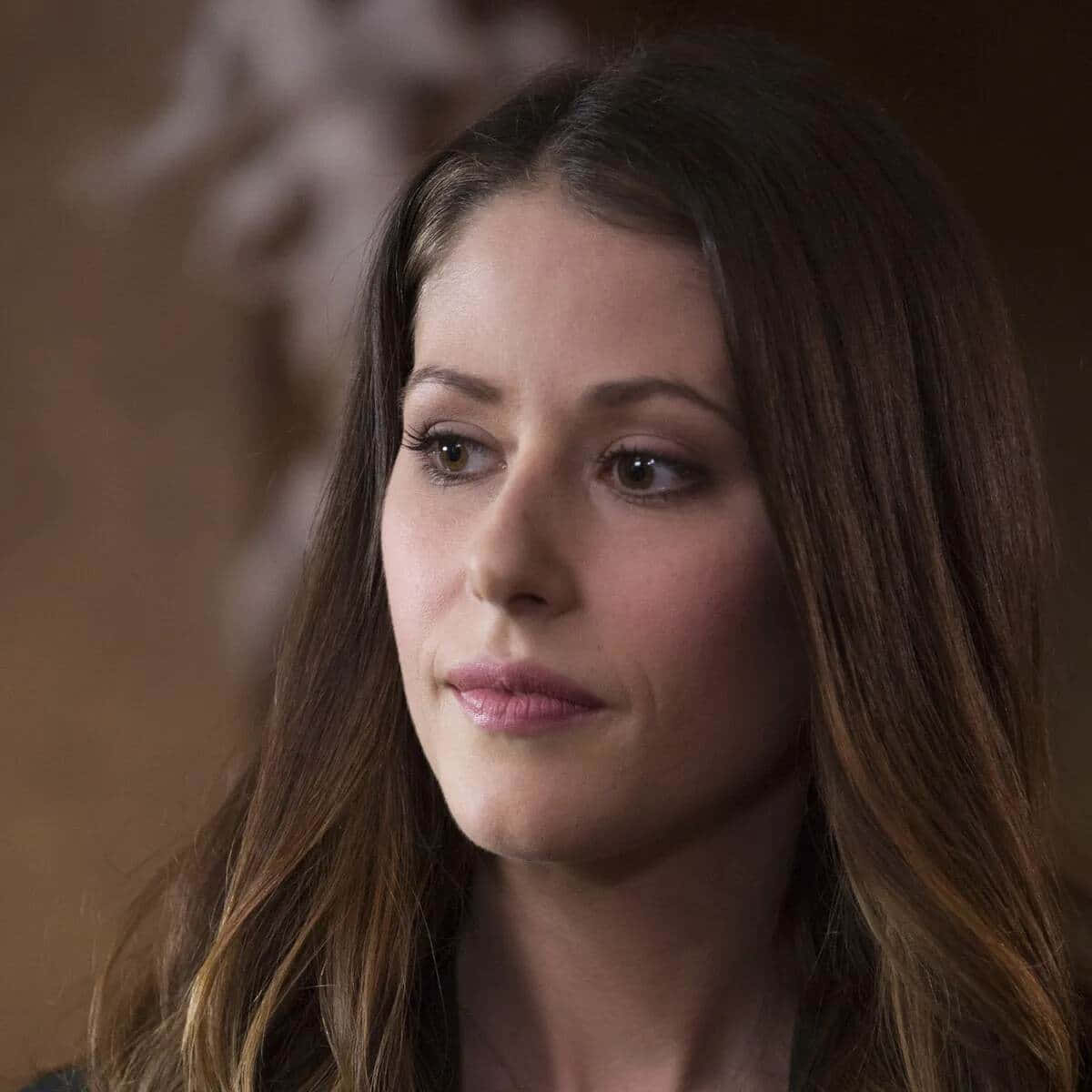 Amanda Crew, long brown hair, close-up portrait, SD Desktop Wallpaper