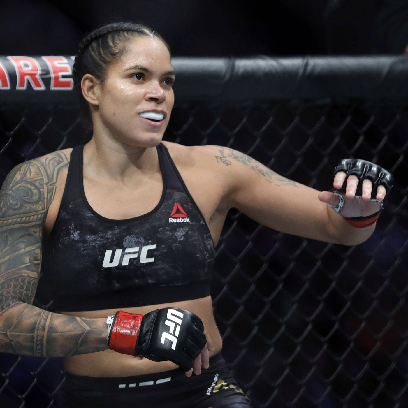 Amanda Nunes, UFC gear, octagon cage, HD Desktop Wallpaper