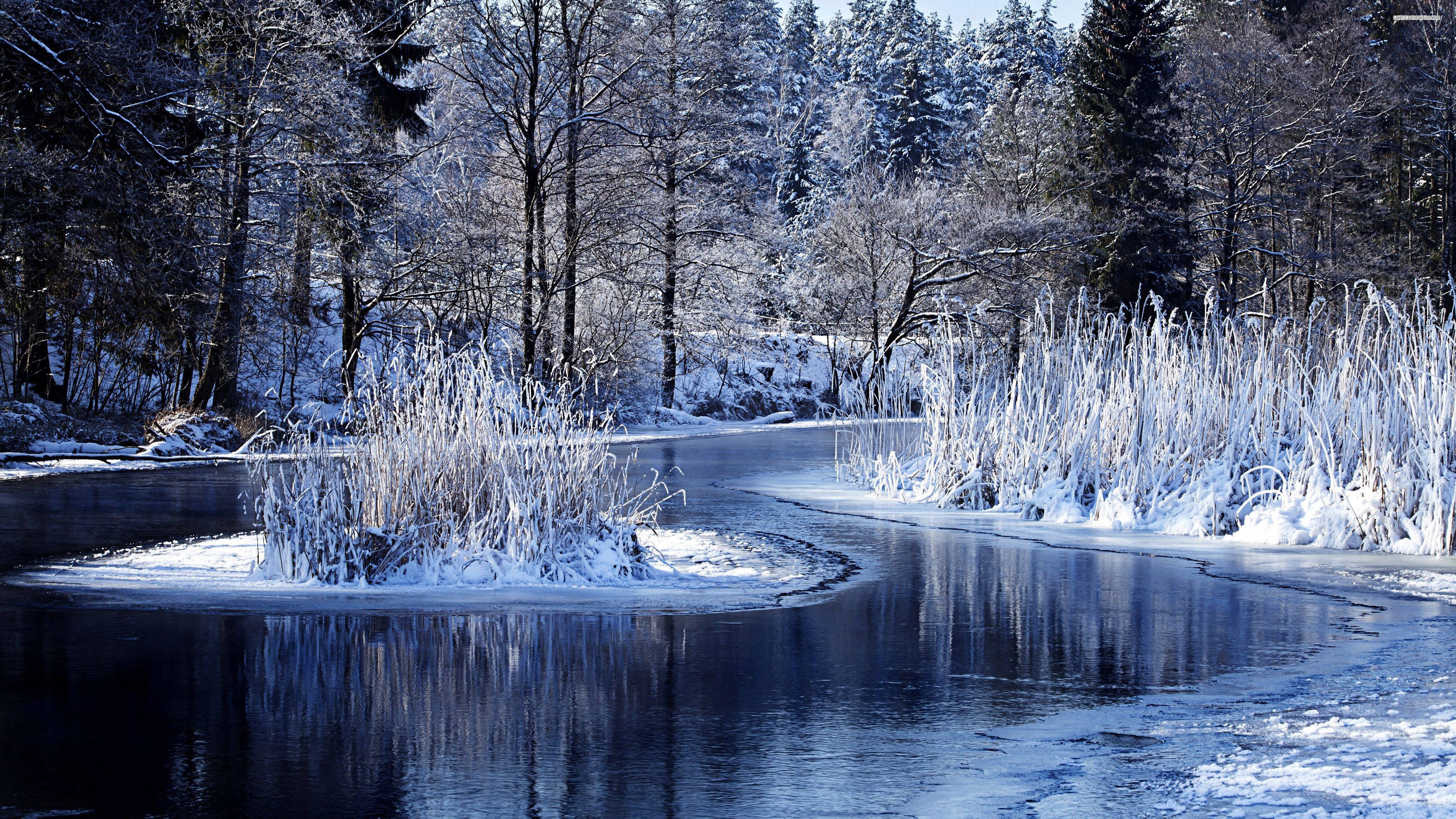 winter, partially frozen river, snow-covered trees, 4K Desktop Wallpaper