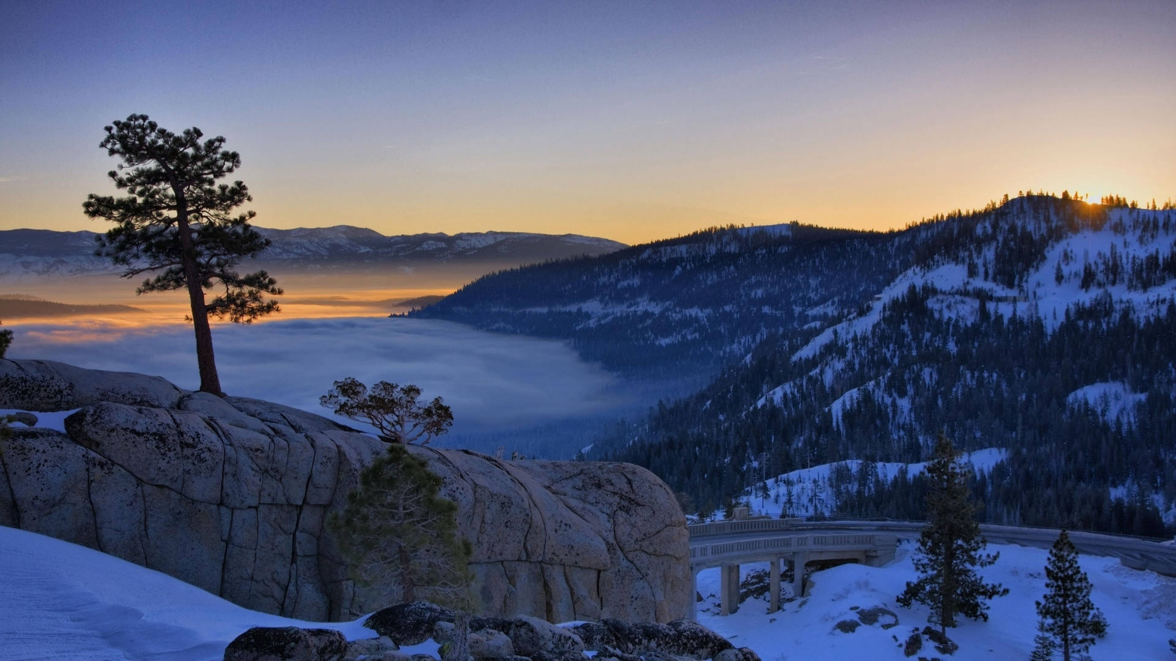 Amazing 4K Winter, pine tree, snowy rocks, 4K Desktop Wallpaper