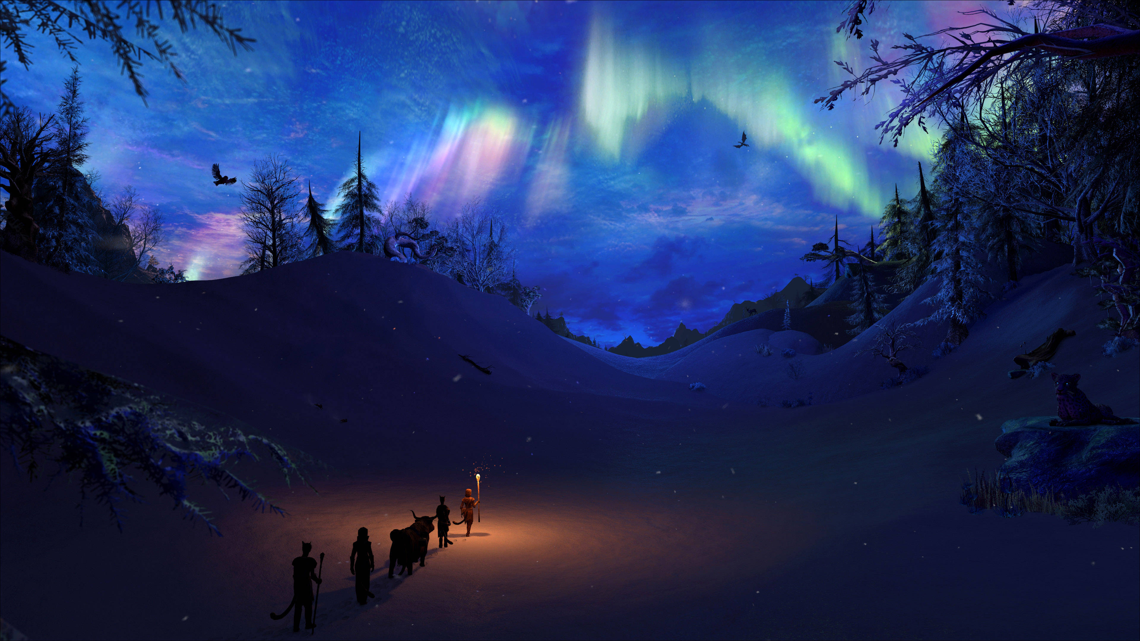 aurora borealis, snowy valley, winter forest, 4K Desktop Wallpaper
