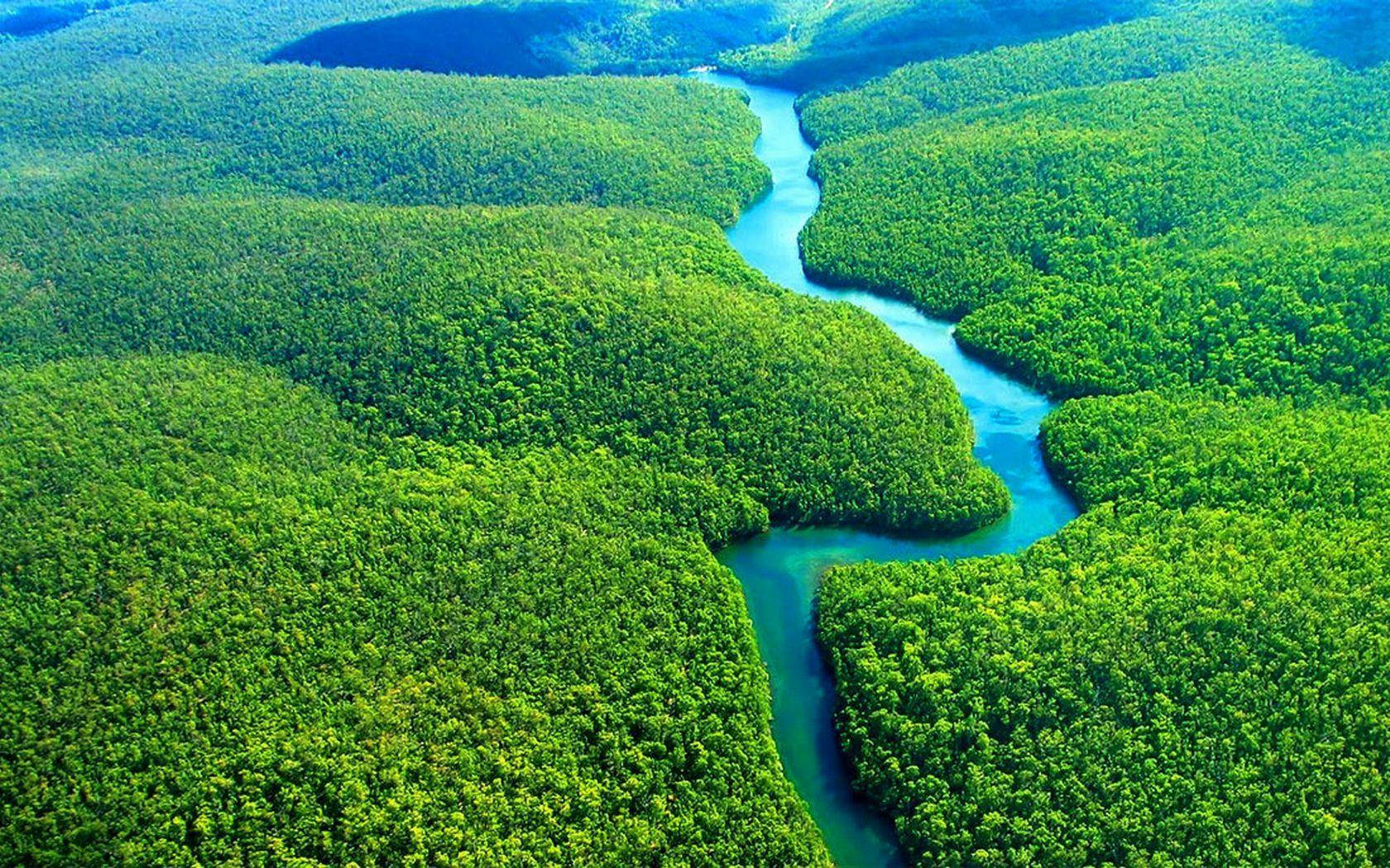 Amazonas River, turquoise river, emerald forests, HD Desktop Wallpaper