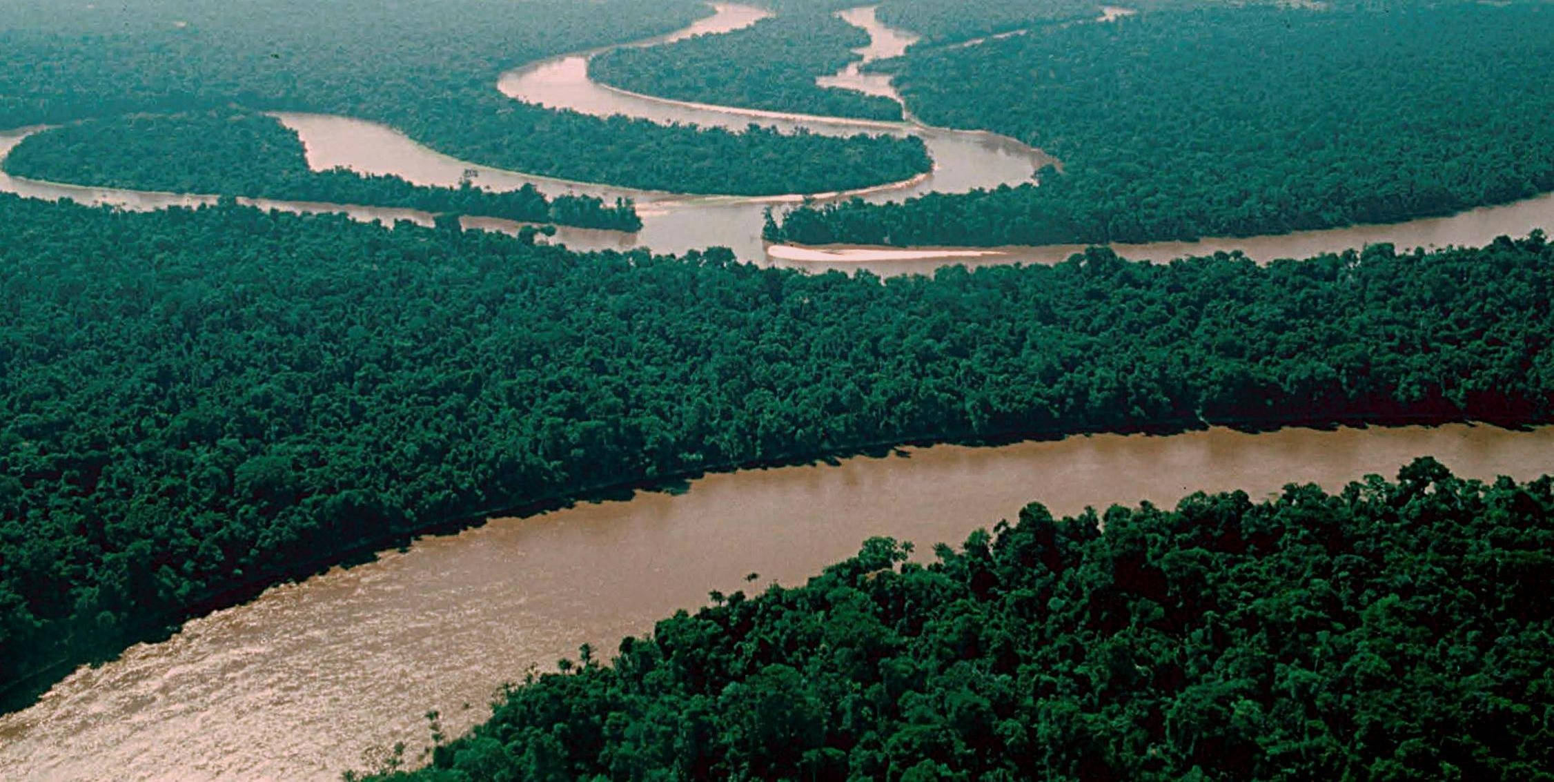 Amazonas, muddy river, winding river, Full HD Desktop Wallpaper
