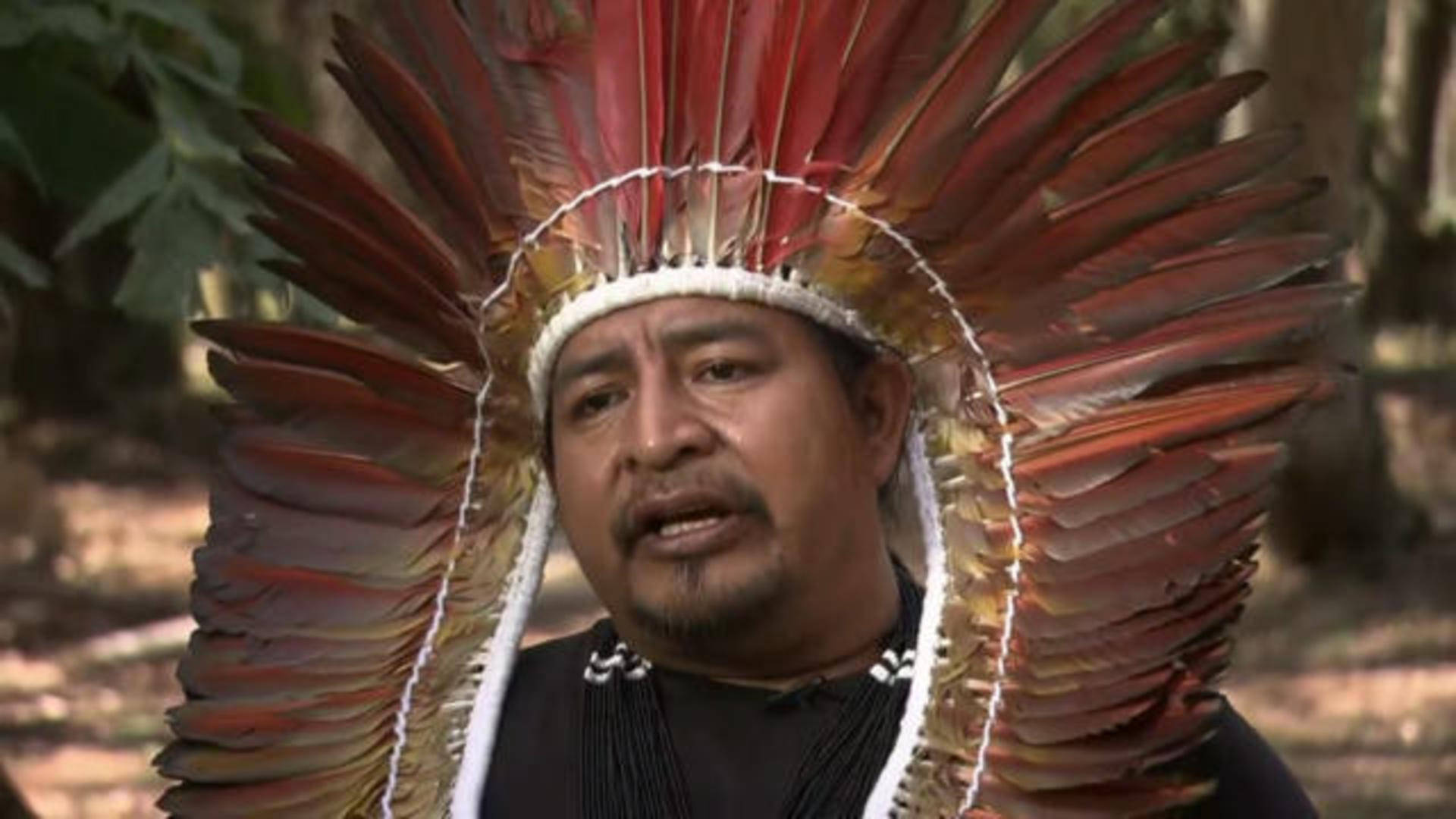 Amazonas, tribal leader, feathered headdress, Full HD Desktop Wallpaper