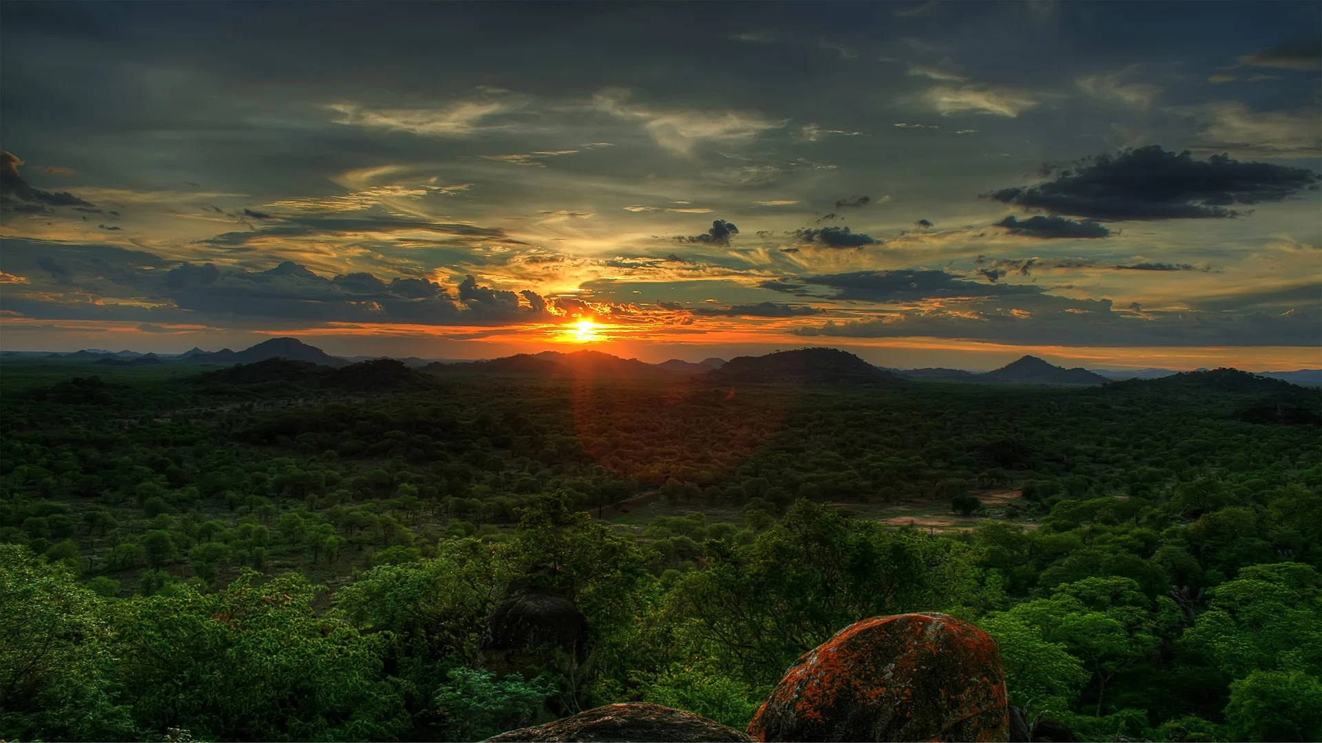 Green Forest Of Amazonas, Sunset, fiery orange, Full HD Desktop Wallpaper