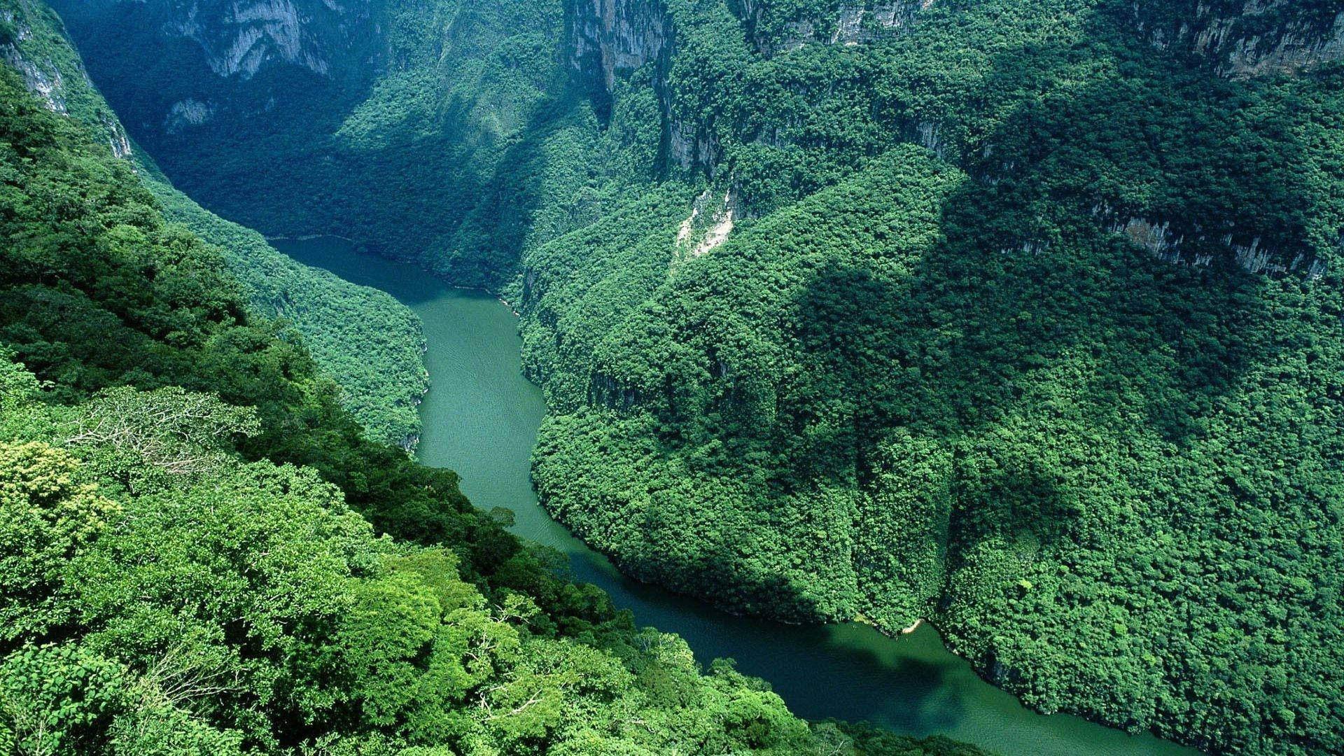 Amazonas River, lush green canyon, steep forested cliffs, Full HD Desktop Wallpaper