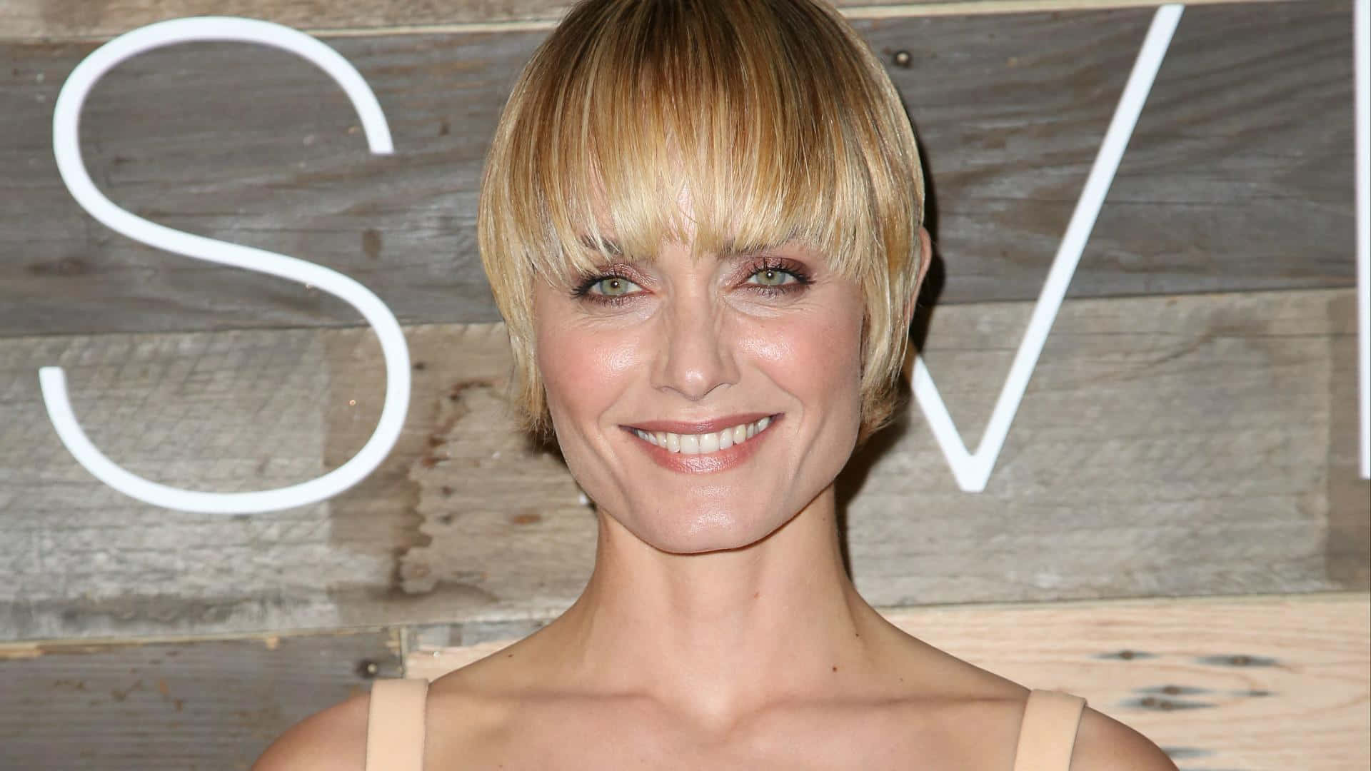 Amber Valletta, beige top, rustic wooden wall, Full HD Desktop Wallpaper