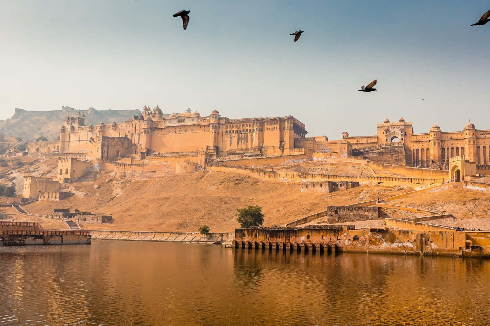 Amer Fort, golden fortress, hillside, HD Desktop Wallpaper