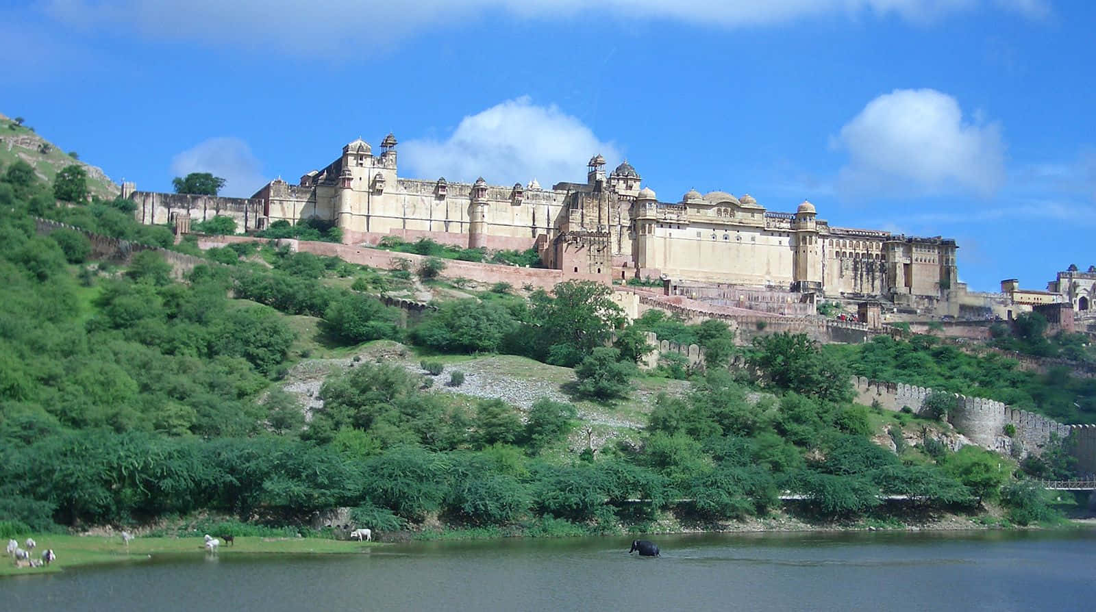 Amer Fort, lush green hillside, calm lake, HD Desktop Wallpaper